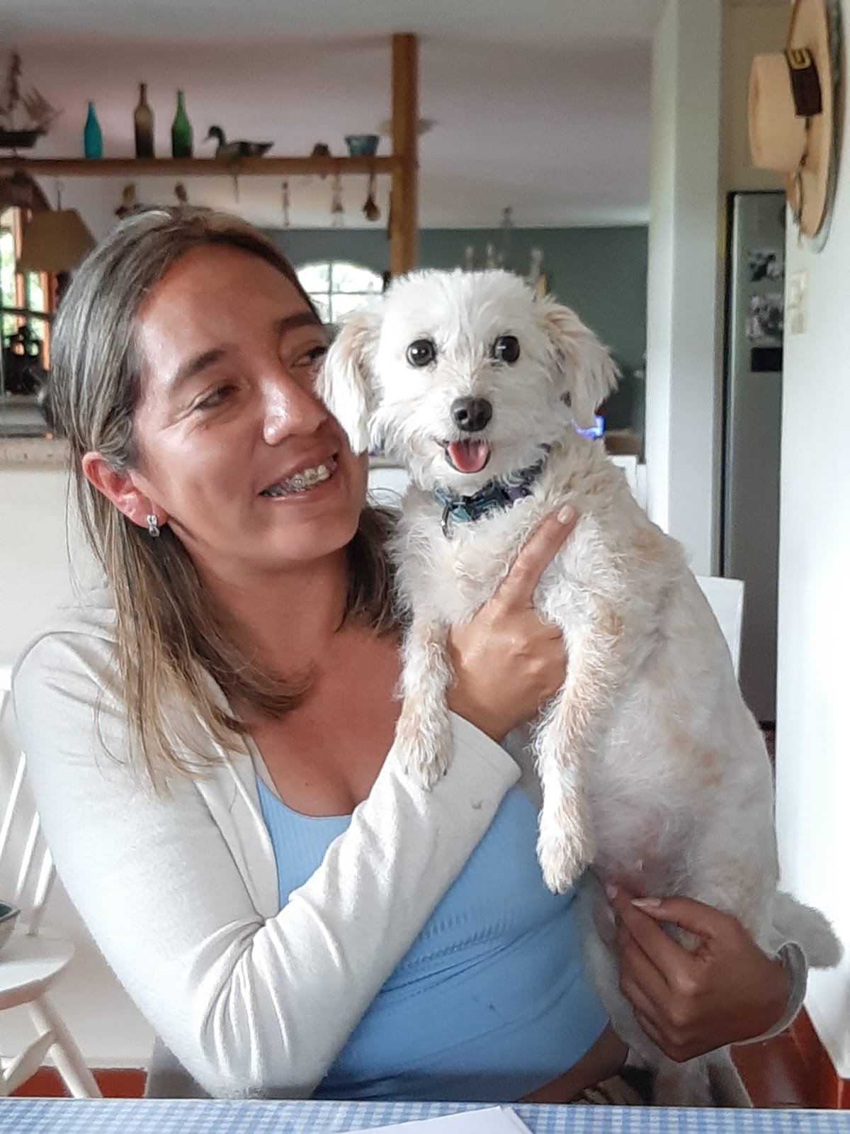 URGENT – HELP US MOVE OUR SHELTER TO SAFETY campaign photo, 2 of 8