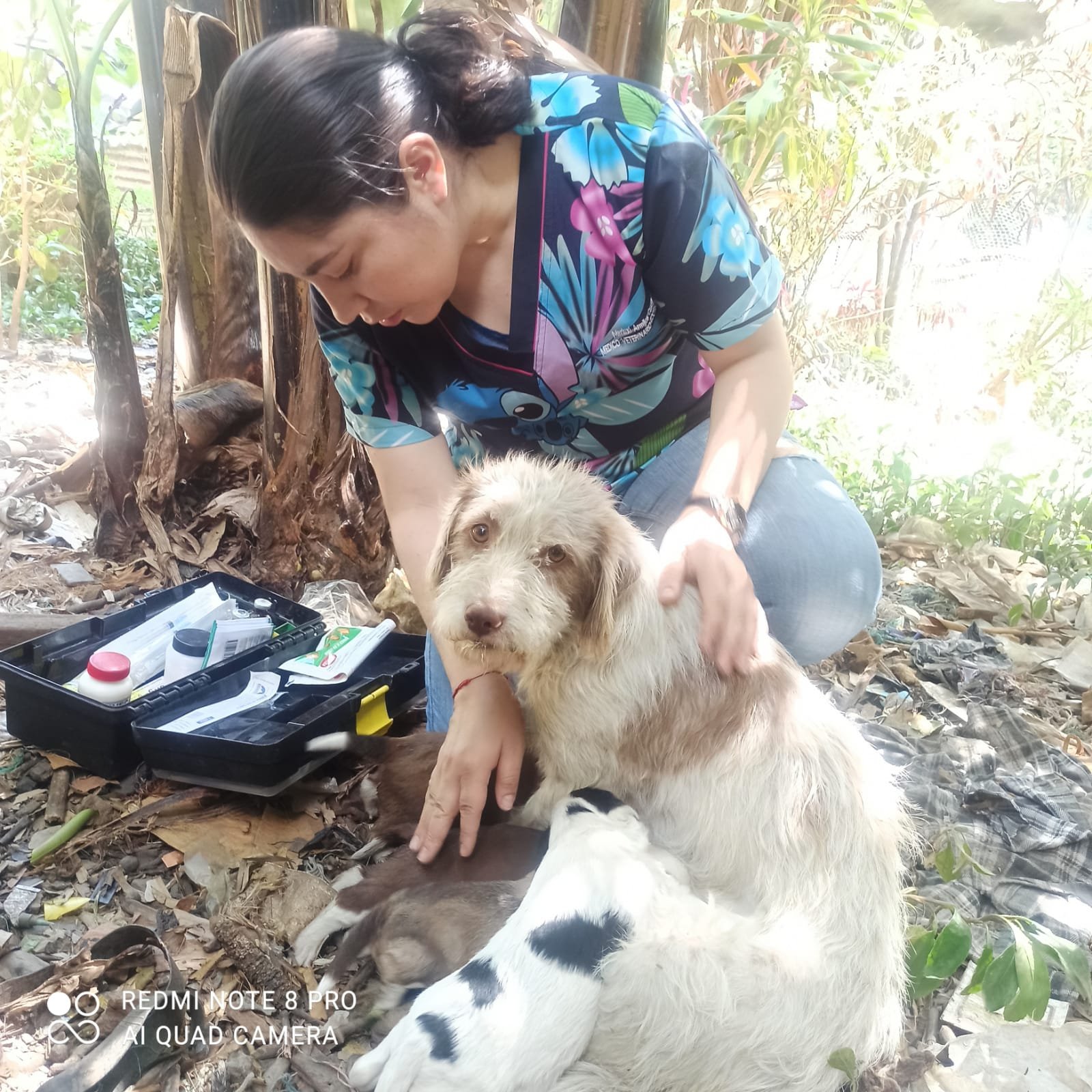 URGENT – HELP US MOVE OUR SHELTER TO SAFETY campaign photo, 4 of 8