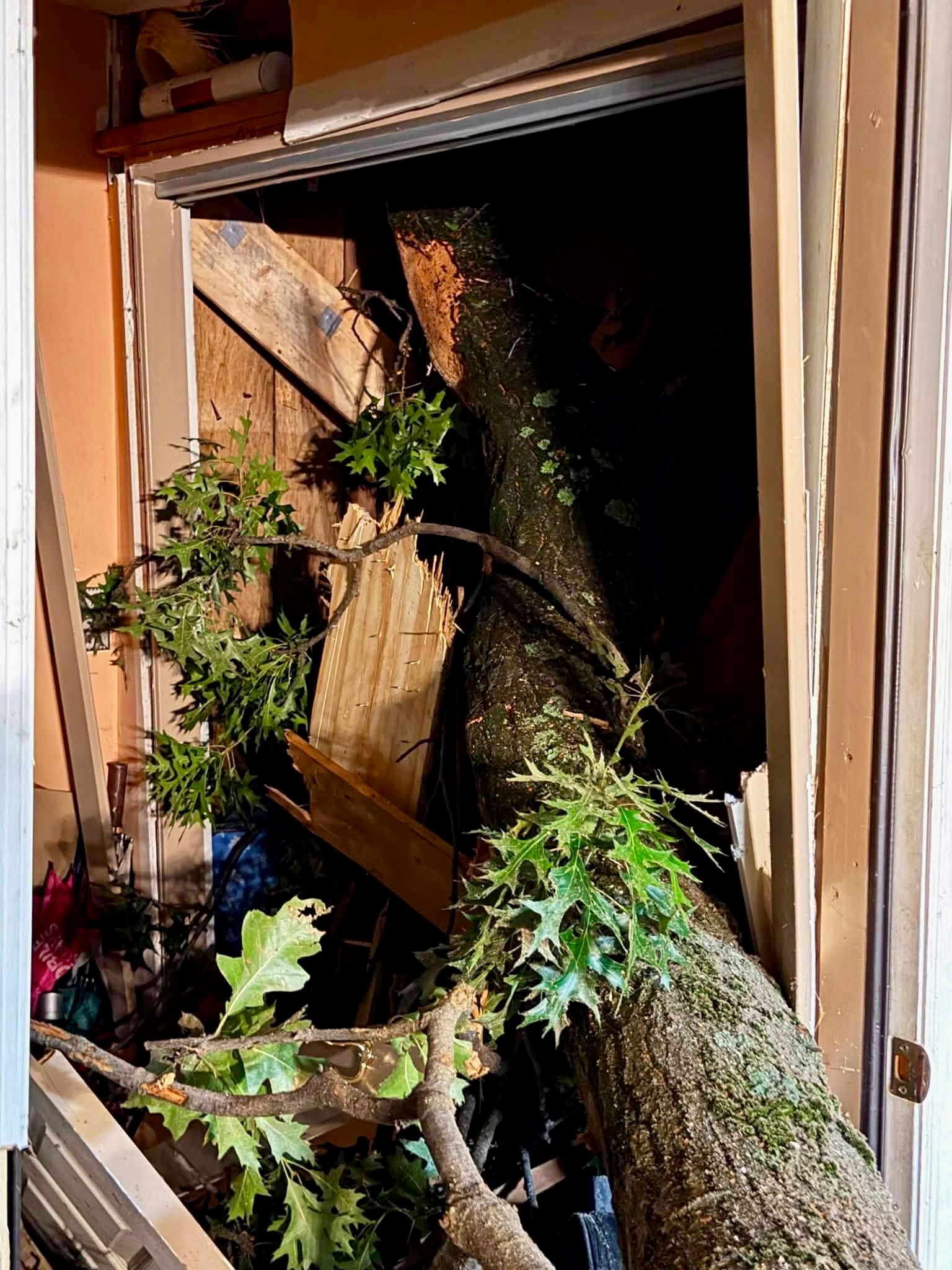 Support the DiCristo Family After Storm campaign photo, 6 of 8