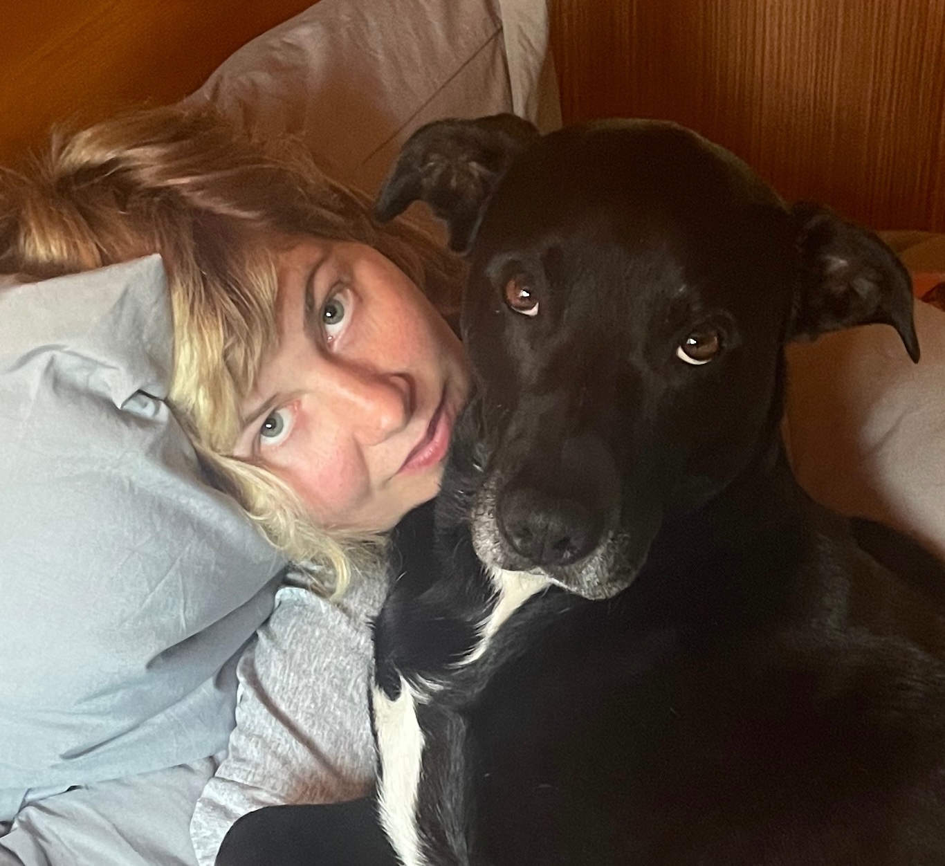 Hilfe für Buddy - Help us save Buddy’s life campaign photo, 4 of 5