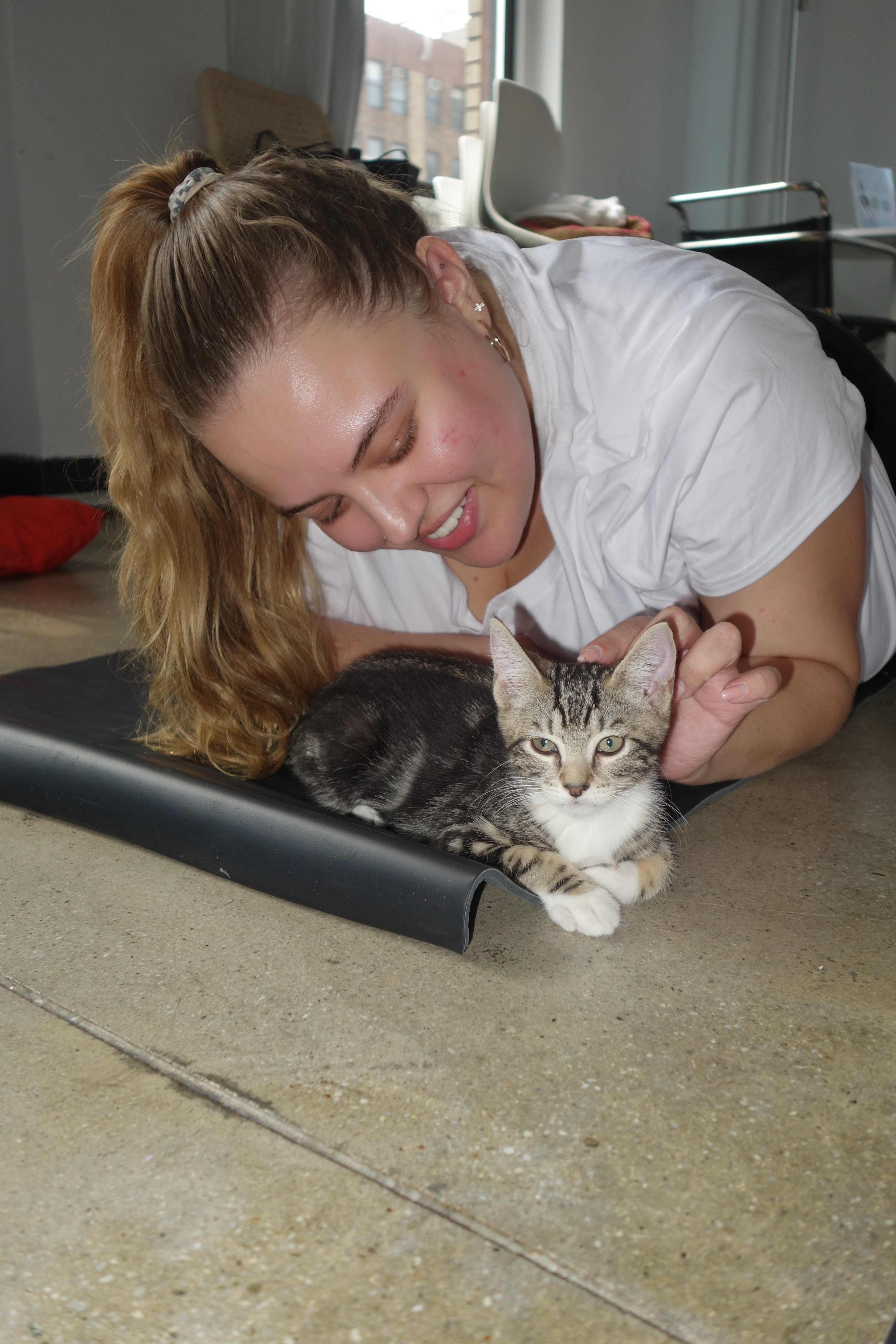 Purlates Kitten Sanctuary: Safe Haven for Kittens campaign photo, 7 of 8