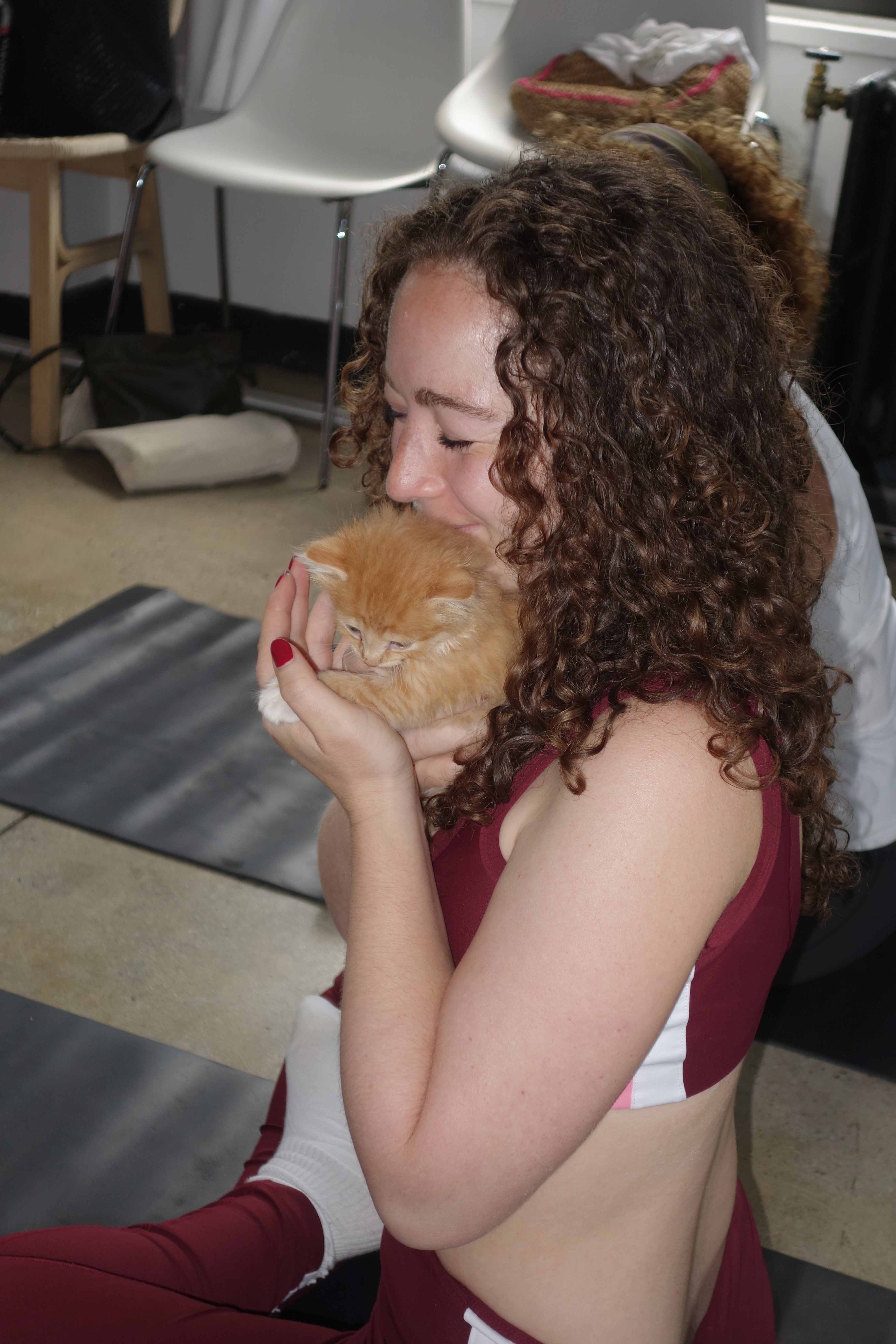 Purlates Kitten Sanctuary: Safe Haven for Kittens campaign photo, 5 of 8