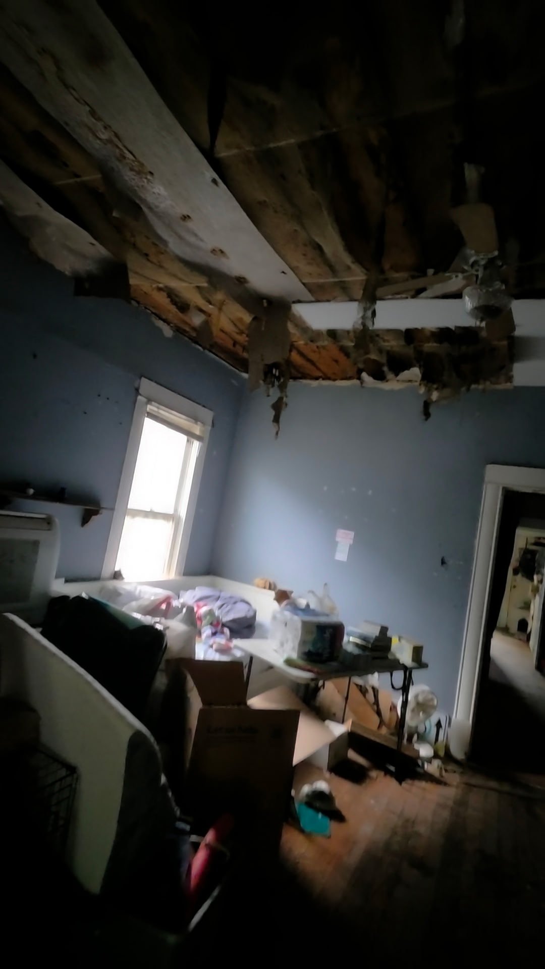 Support Grace and Pets After Fire Loss campaign photo, 4 of 8