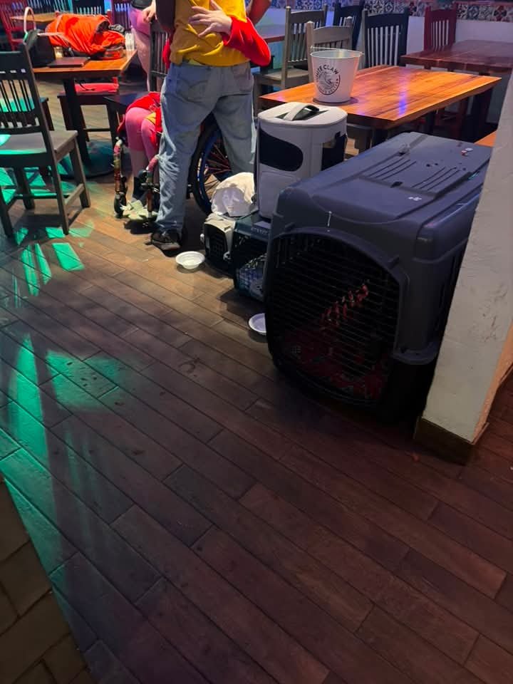 Support Grace and Pets After Fire Loss campaign photo, 6 of 8