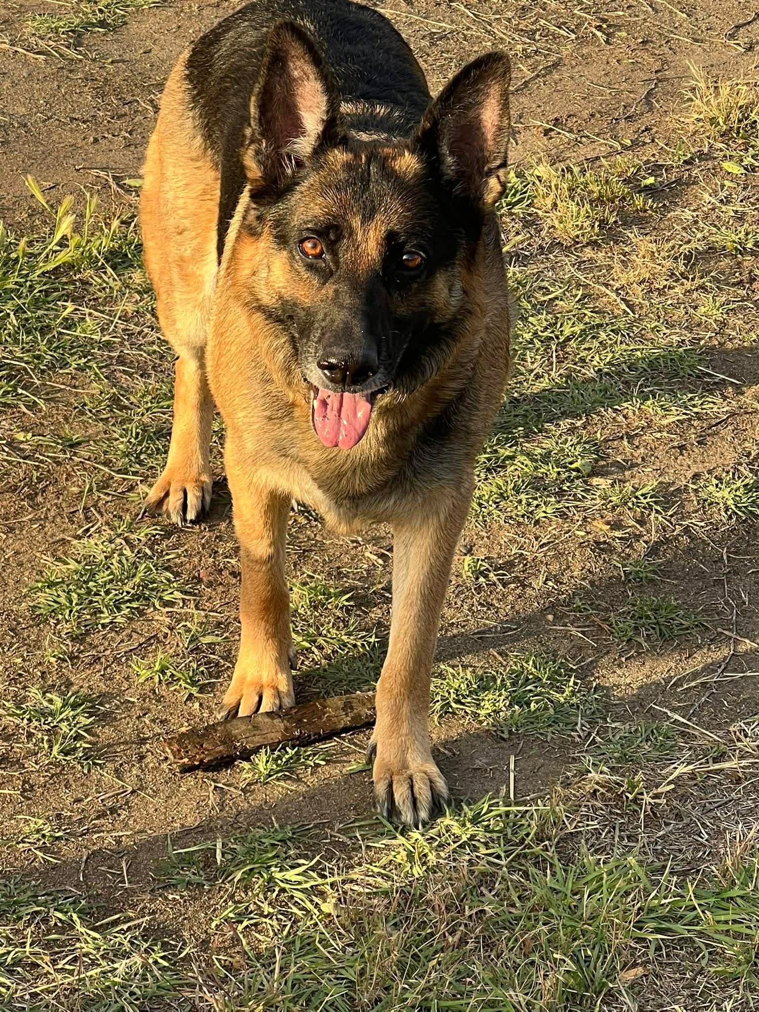 Help Sienna Get Life-Saving Surgery Tomorrow campaign photo, 4 of 5