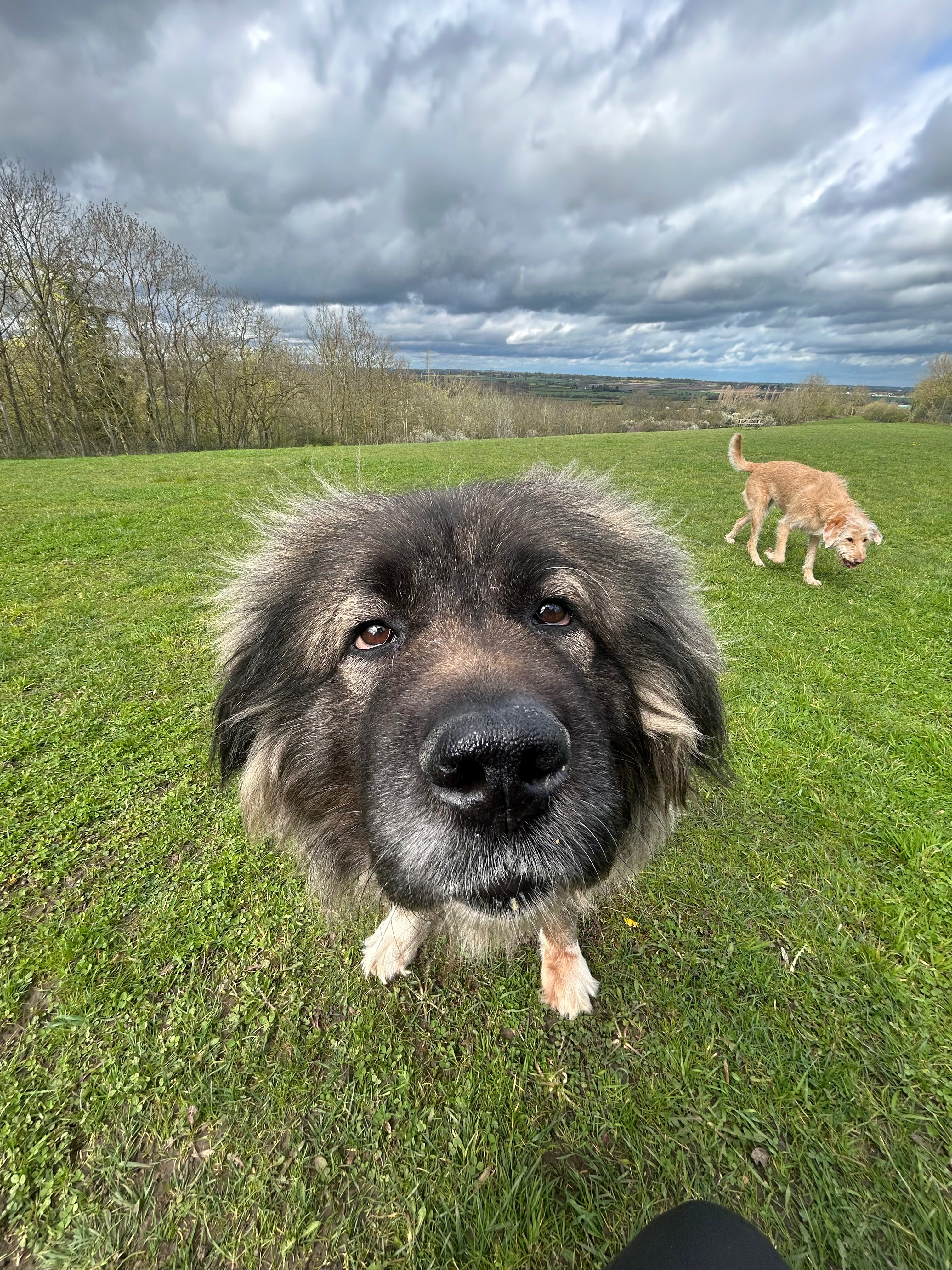 Mila’s Legacy-Help Us Pay Back Her Emergency Surgery Loan campaign photo, 7 of 8