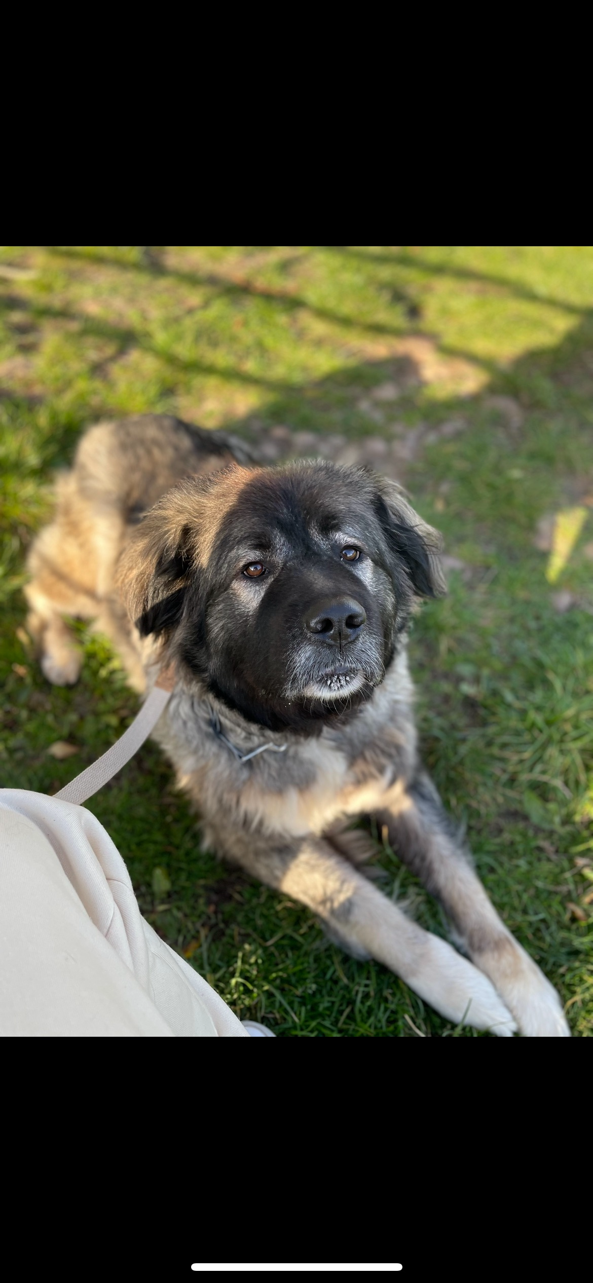 Mila’s Legacy-Help Us Pay Back Her Emergency Surgery Loan campaign photo, 2 of 8
