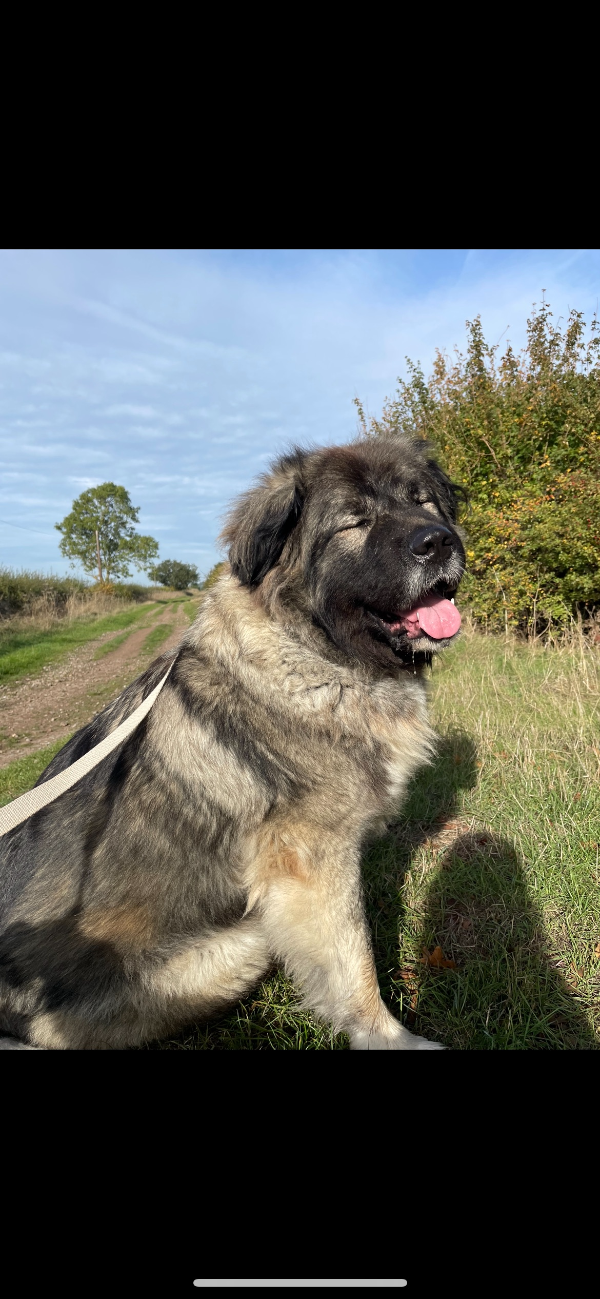 Mila’s Legacy-Help Us Pay Back Her Emergency Surgery Loan campaign photo, 4 of 8