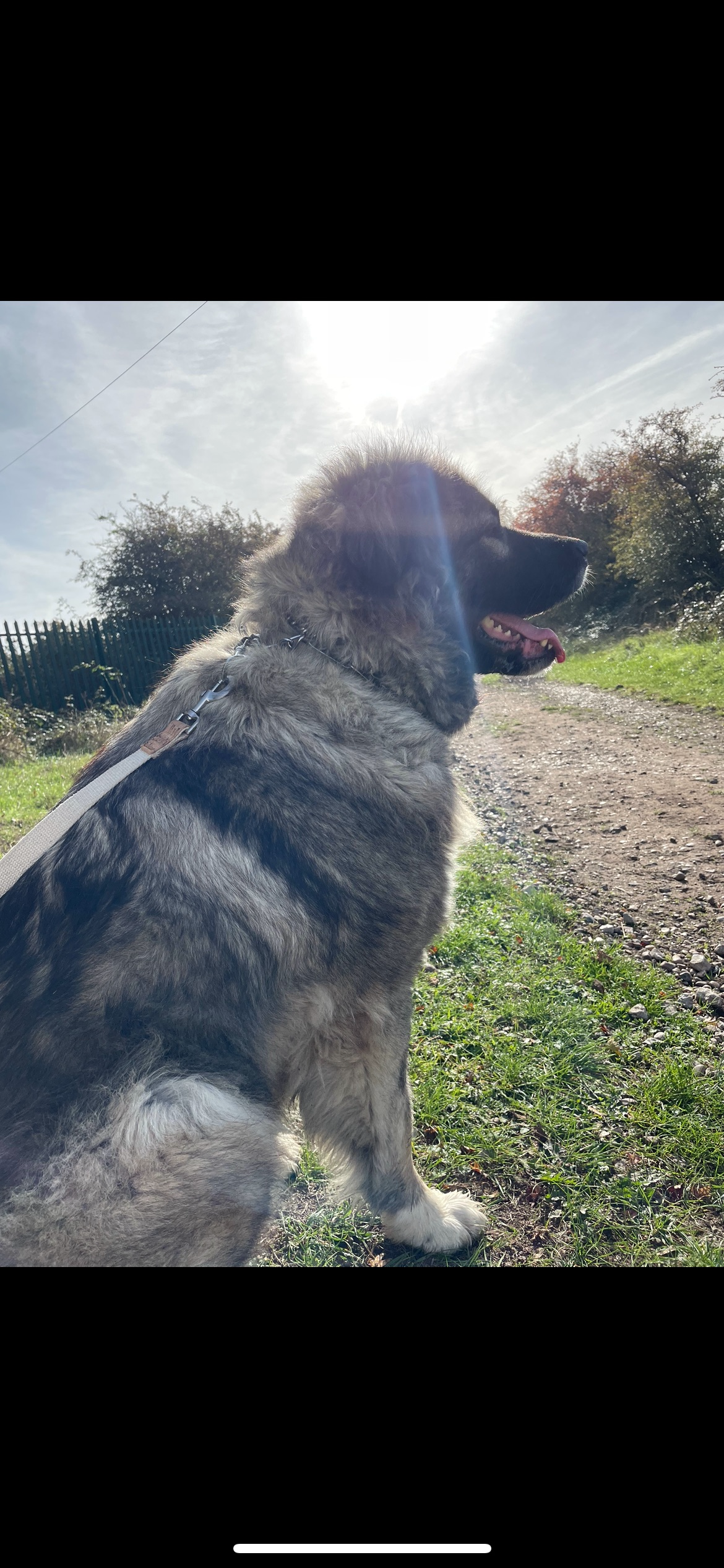 Mila’s Legacy-Help Us Pay Back Her Emergency Surgery Loan campaign photo, 5 of 8