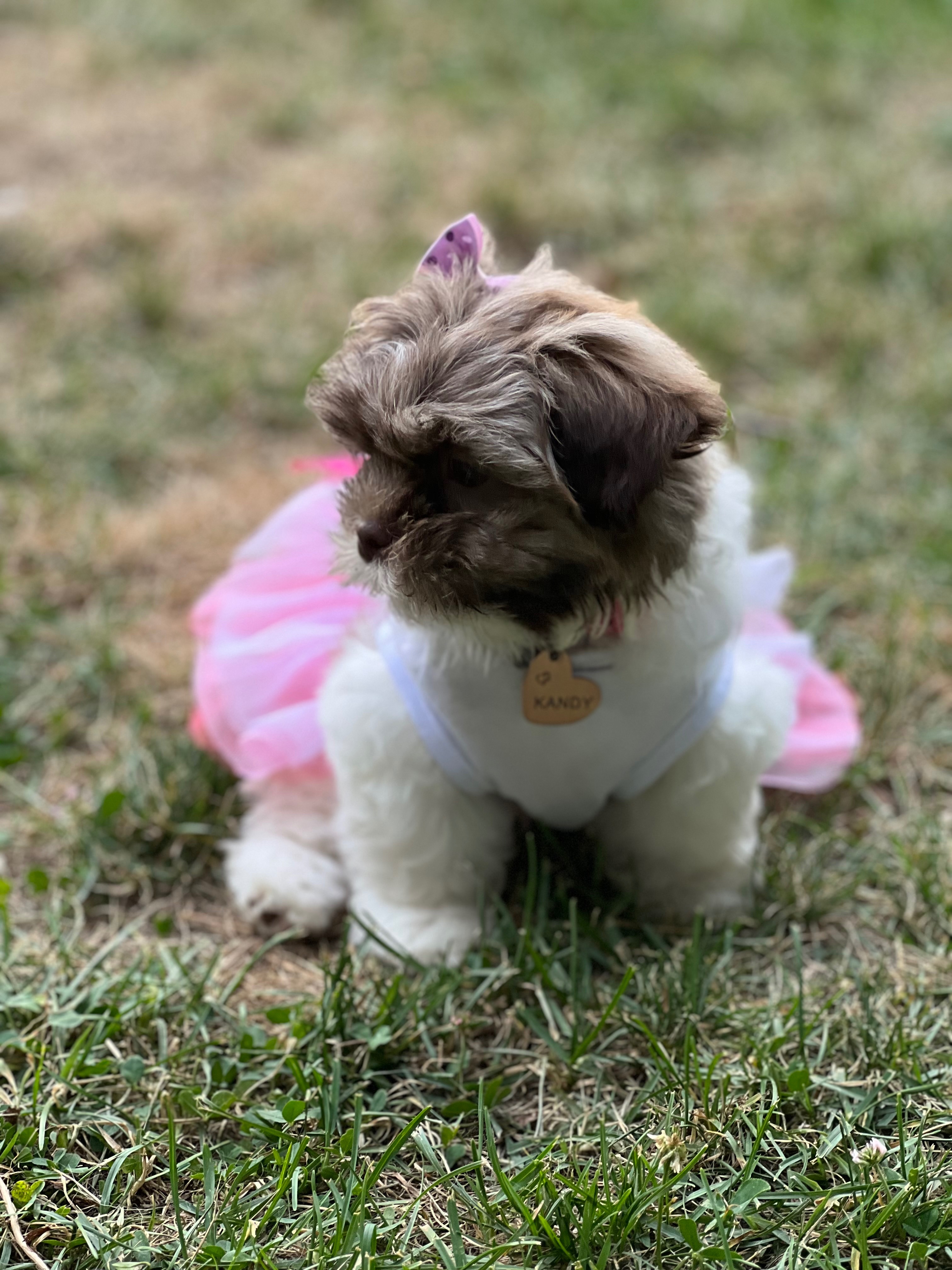 Carolina’s Move Home: A Fresh Start with Kandy campaign photo, 2 of 5