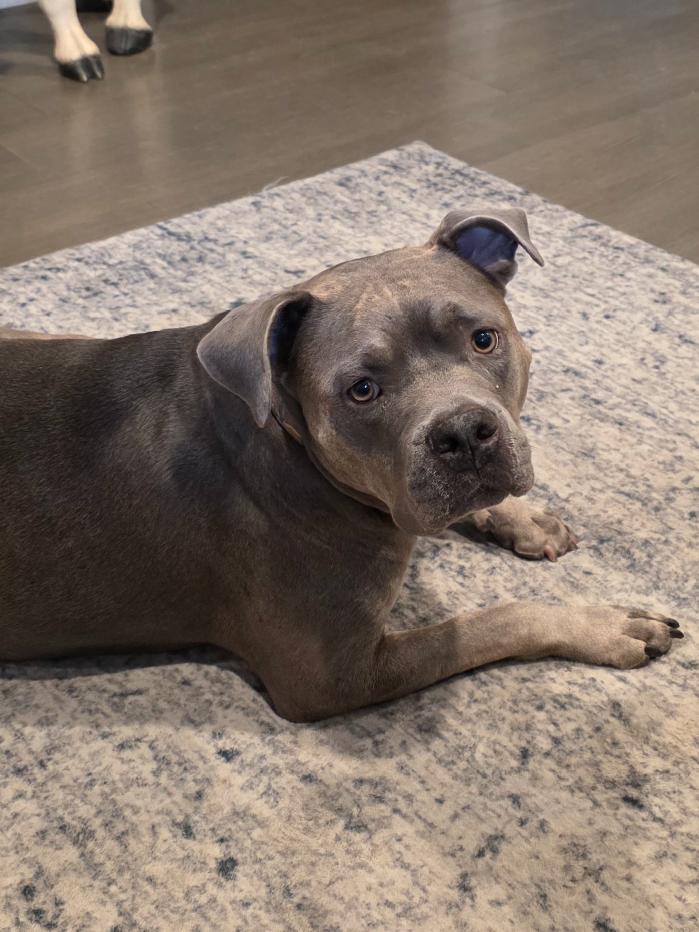 Support Bumble Bee’s CCL Recovery Journey campaign photo, 2 of 5
