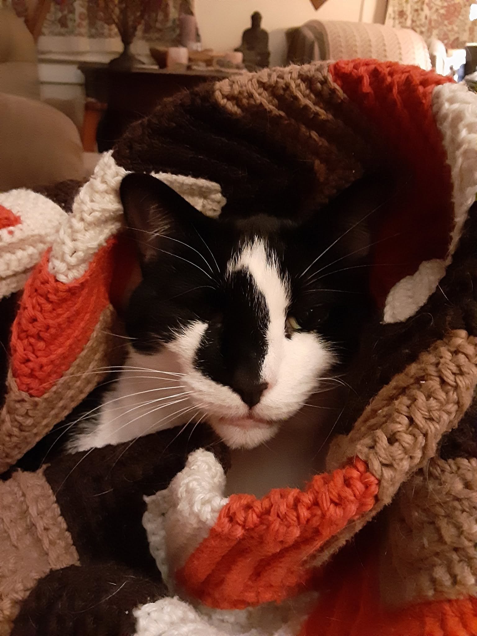 Help Kiwi Navigate GI Lymphoma campaign photo, 5 of 8