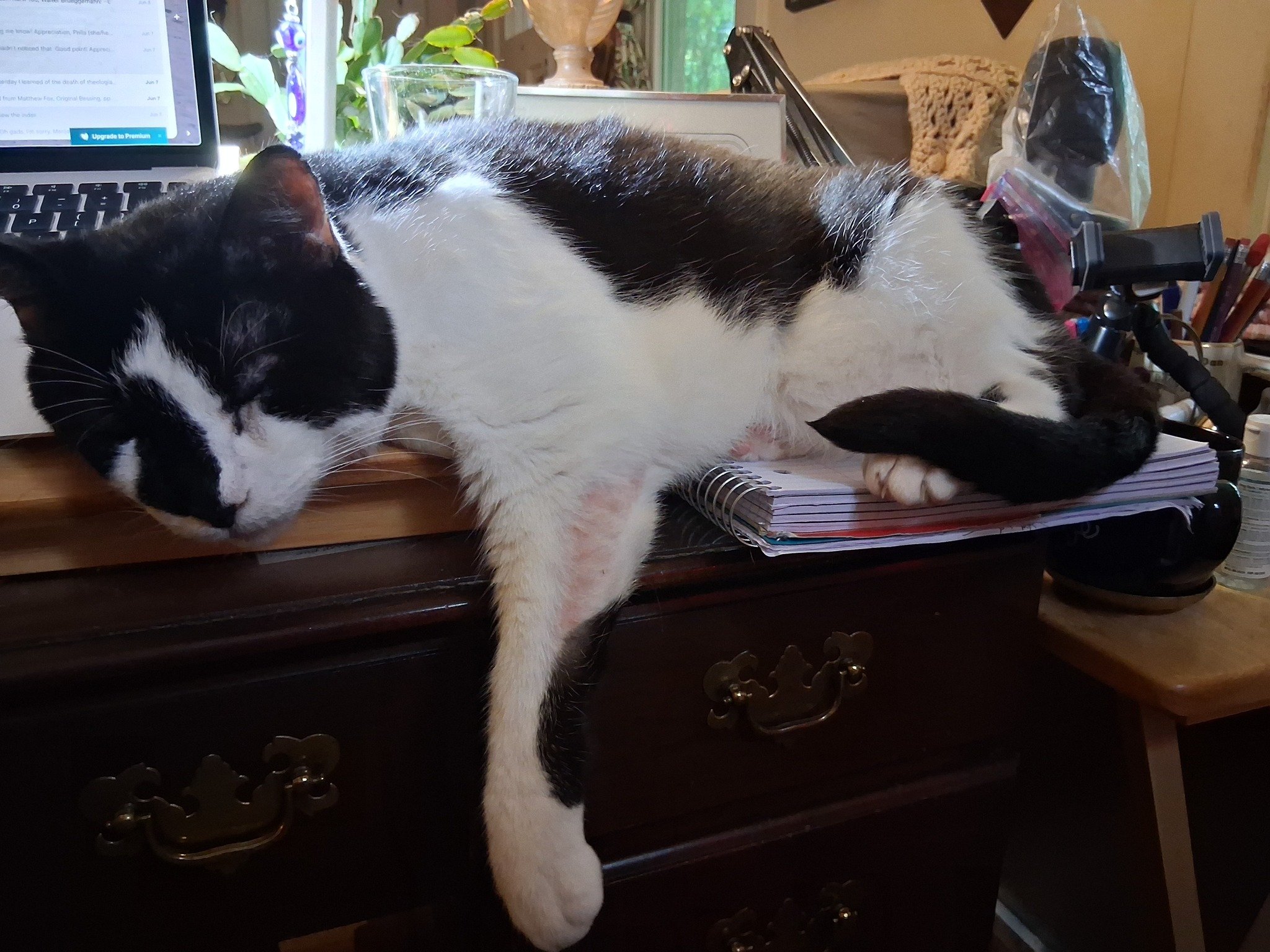 Help Kiwi Navigate GI Lymphoma campaign photo, 6 of 8