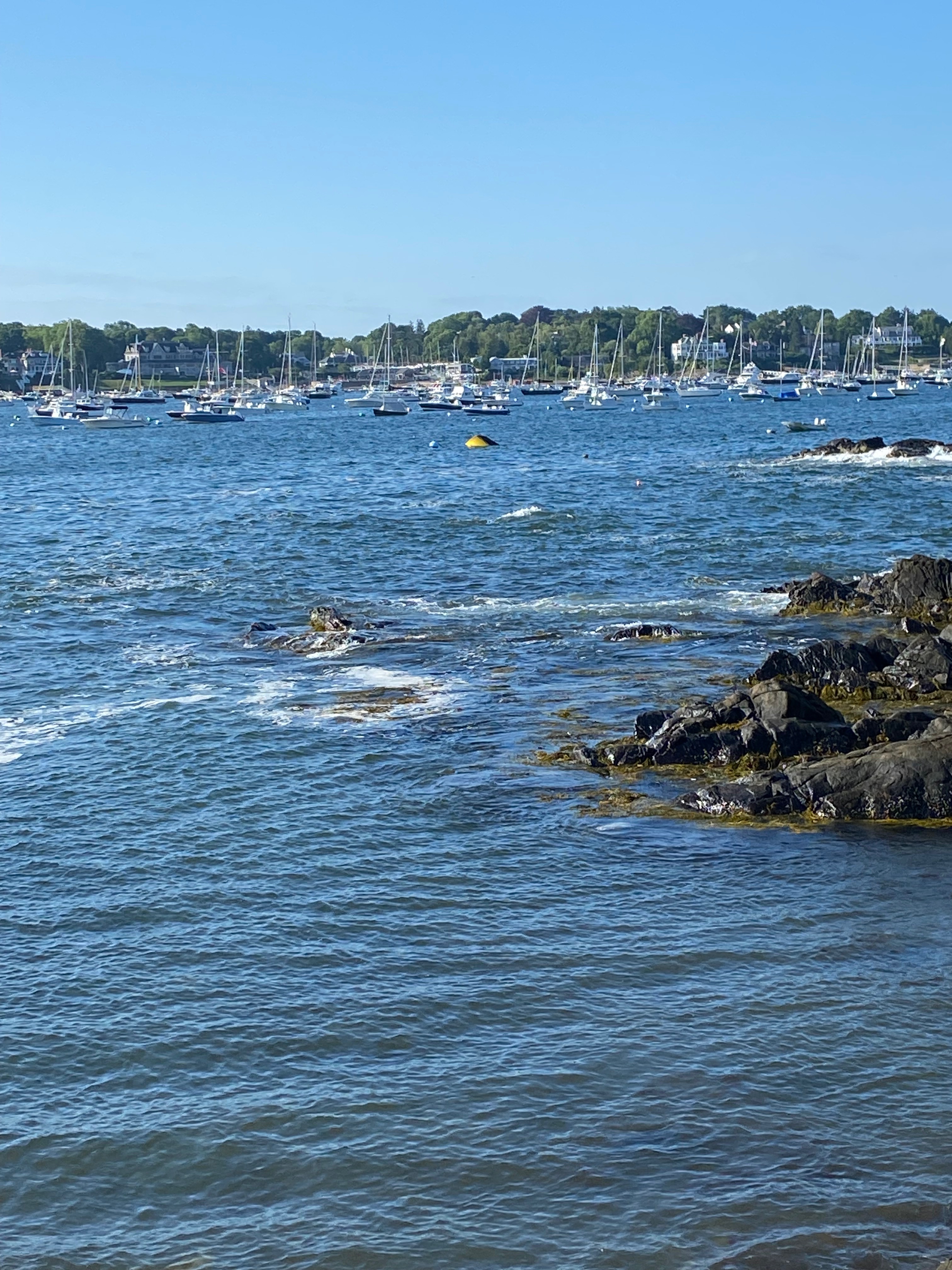 Help 3rd Generation Lobsterman Rebuild After Loss campaign photo, 4 of 9