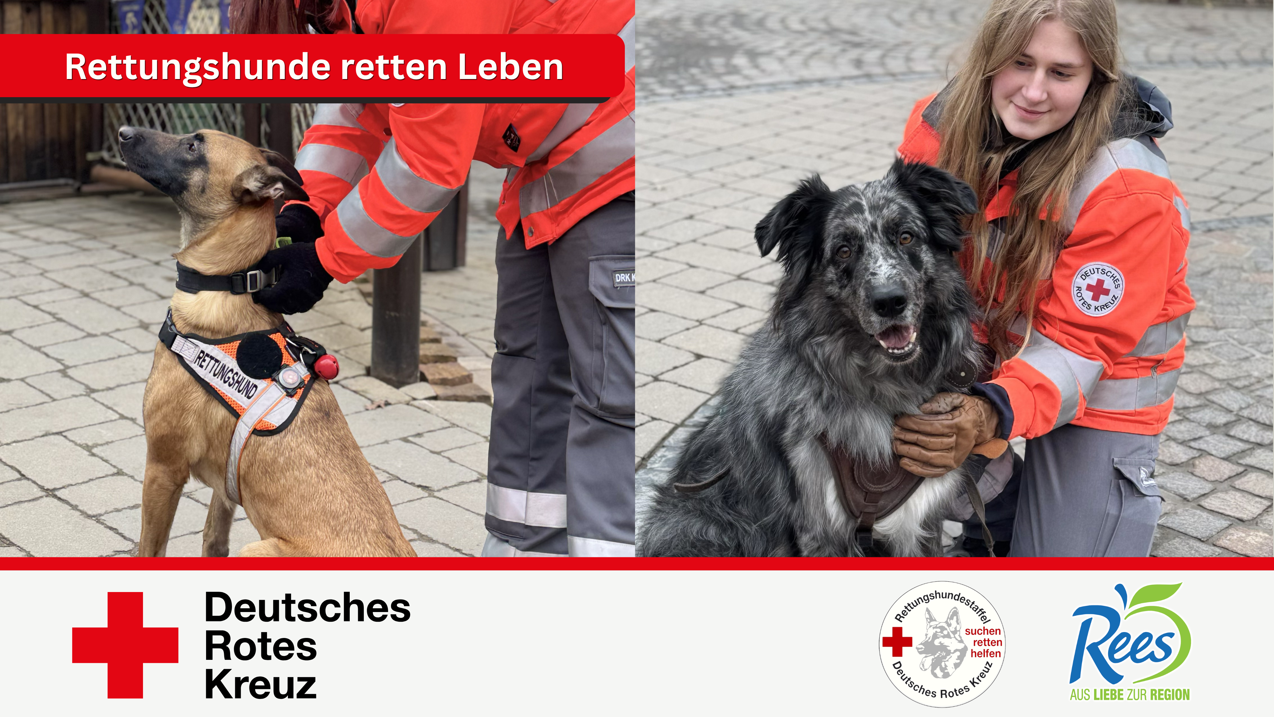 Einsatzfahrzeug für die Rettungshundestaffel Emmendingen campaign photo, 2 of 7