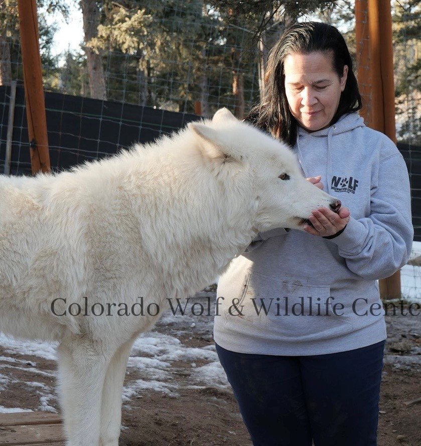 Protect Apex Predators, Protect Our Wilds campaign photo, 6 of 8