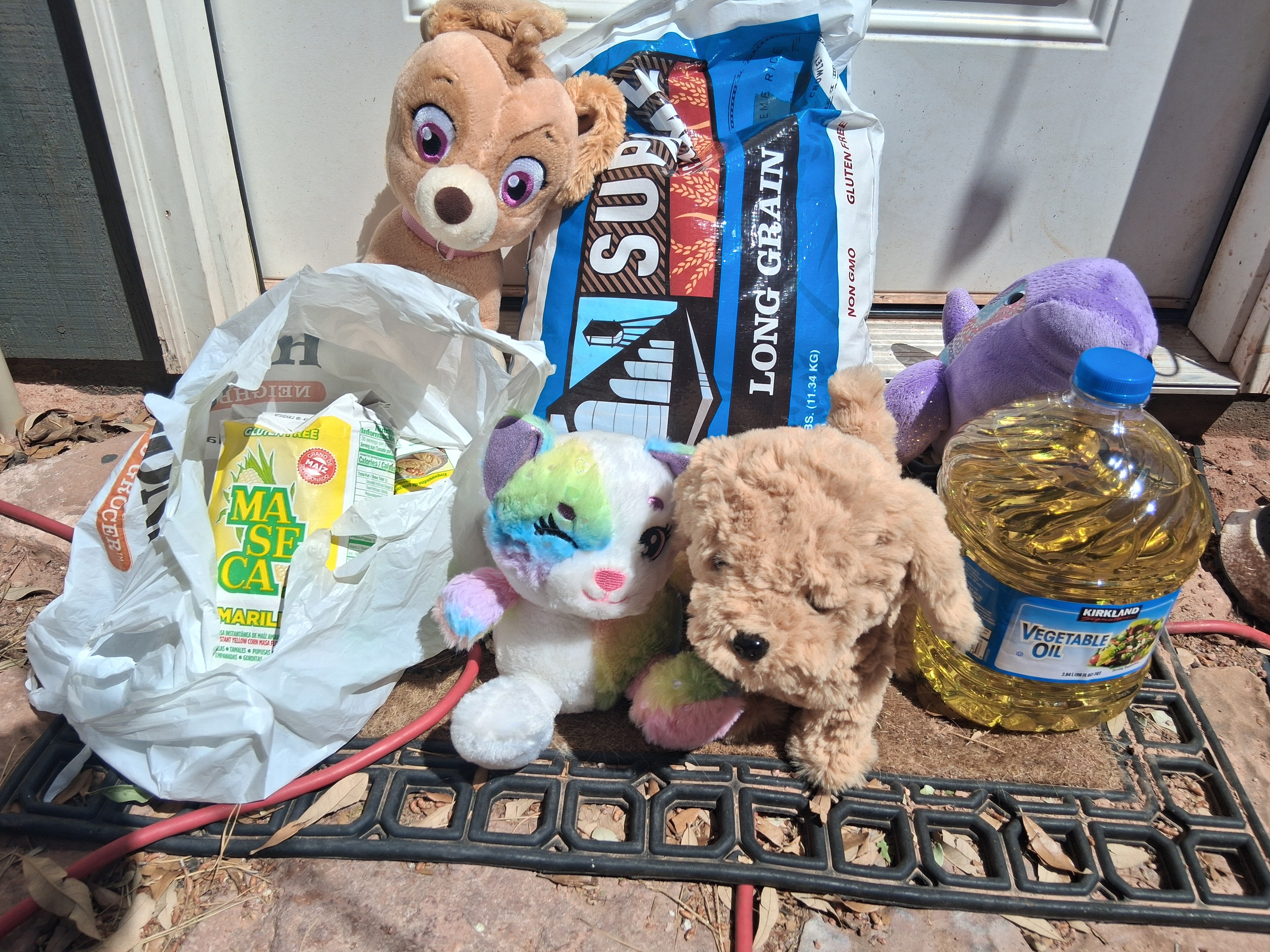 Support Southern Utah Families Separated by ICE campaign photo, 5 of 8