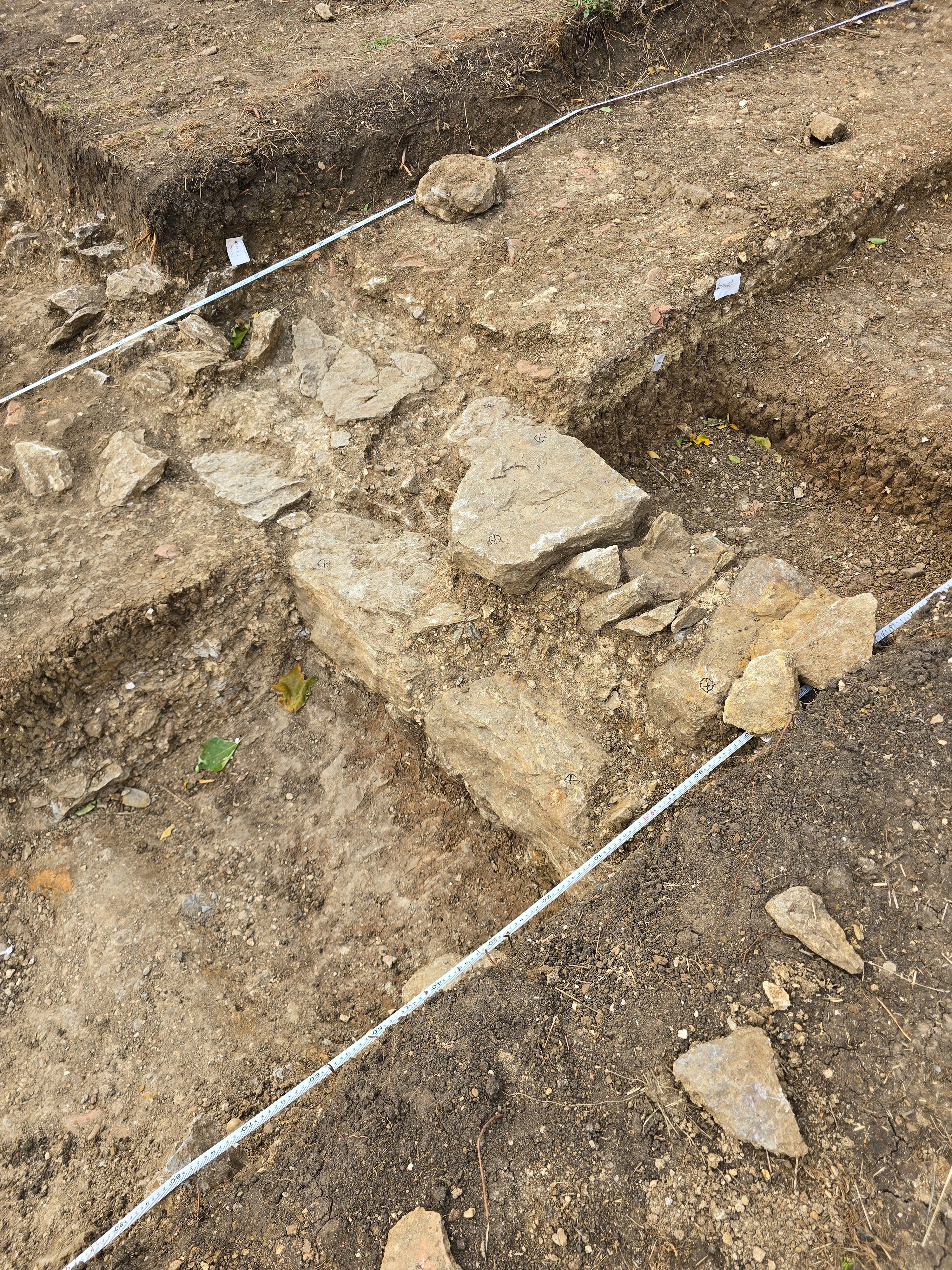 Bedford Roman Villa Project - Book & Dig 2026 campaign photo, 4 of 8