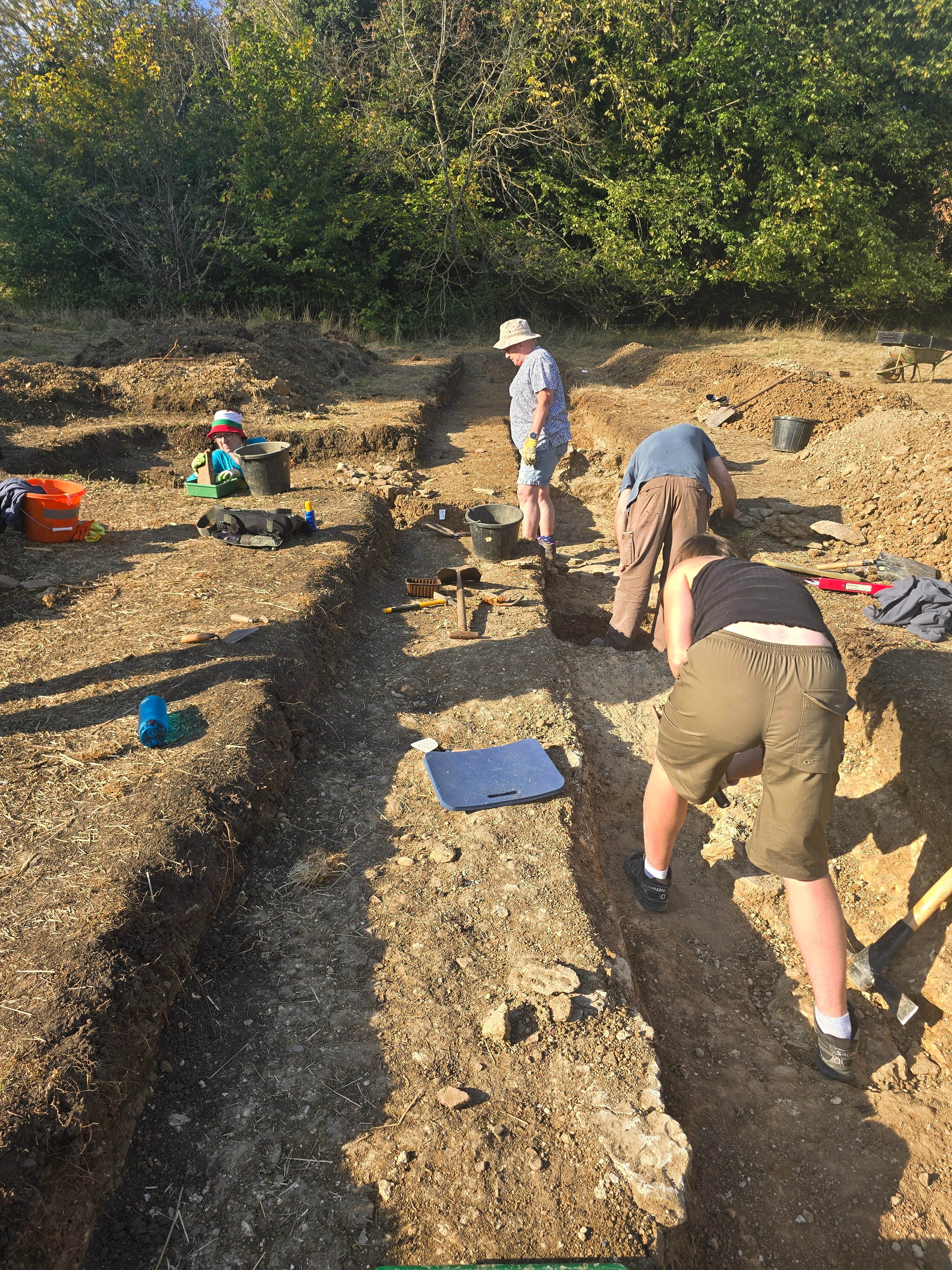 Bedford Roman Villa Project - Book & Dig 2026 campaign photo, 6 of 8