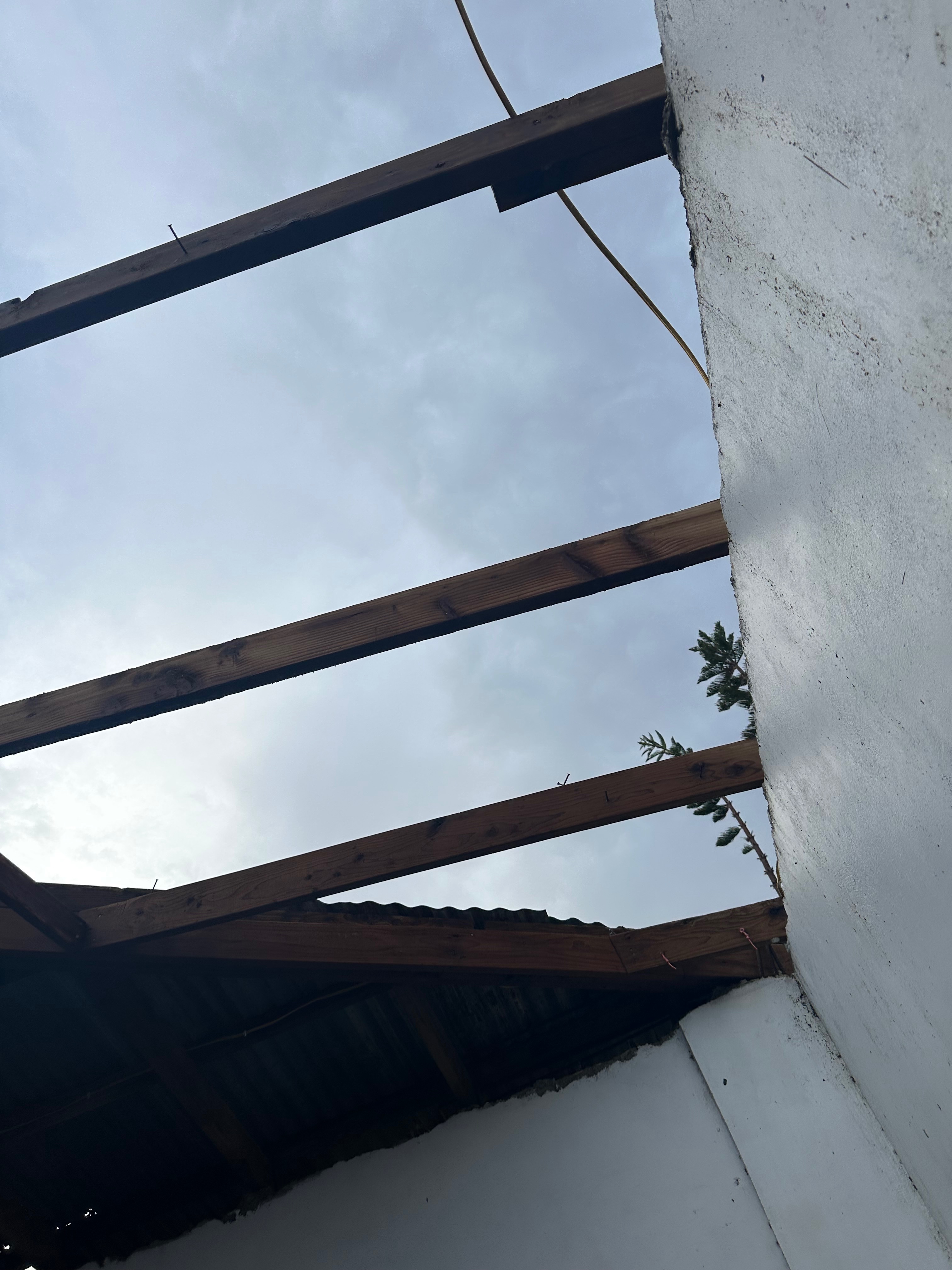 Help My Parents Recover from Typhoon Bavi Damage campaign photo, 4 of 7