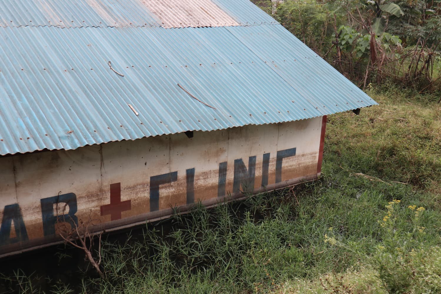 Foto della campagna Giovani che coltivano futuro: agroecologia in Kenya, 4 di 8