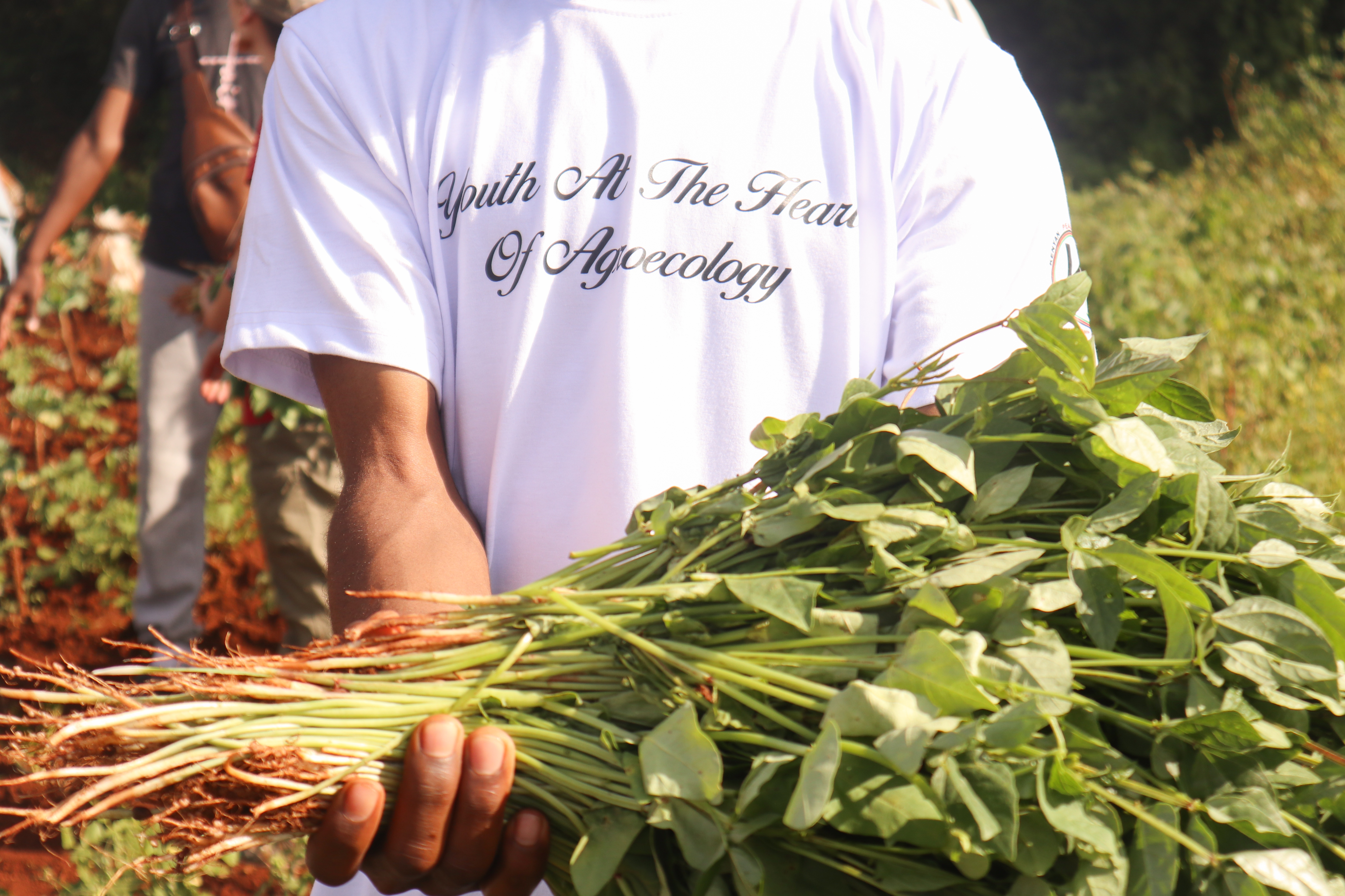 Foto della campagna Giovani che coltivano futuro: agroecologia in Kenya, 6 di 8