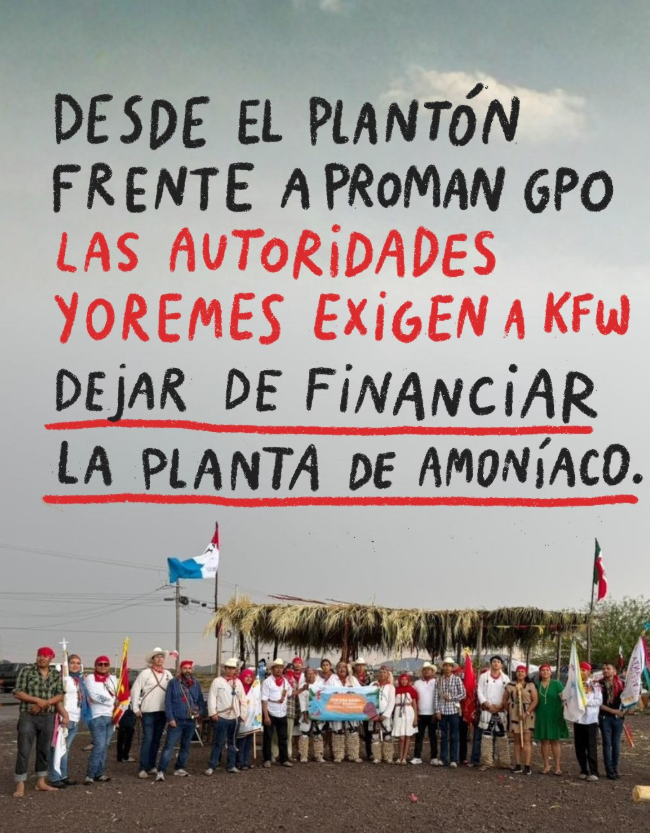 Foto de la recaudación de fondos Salvemos la Bahía de Ohuira, 5 de 6