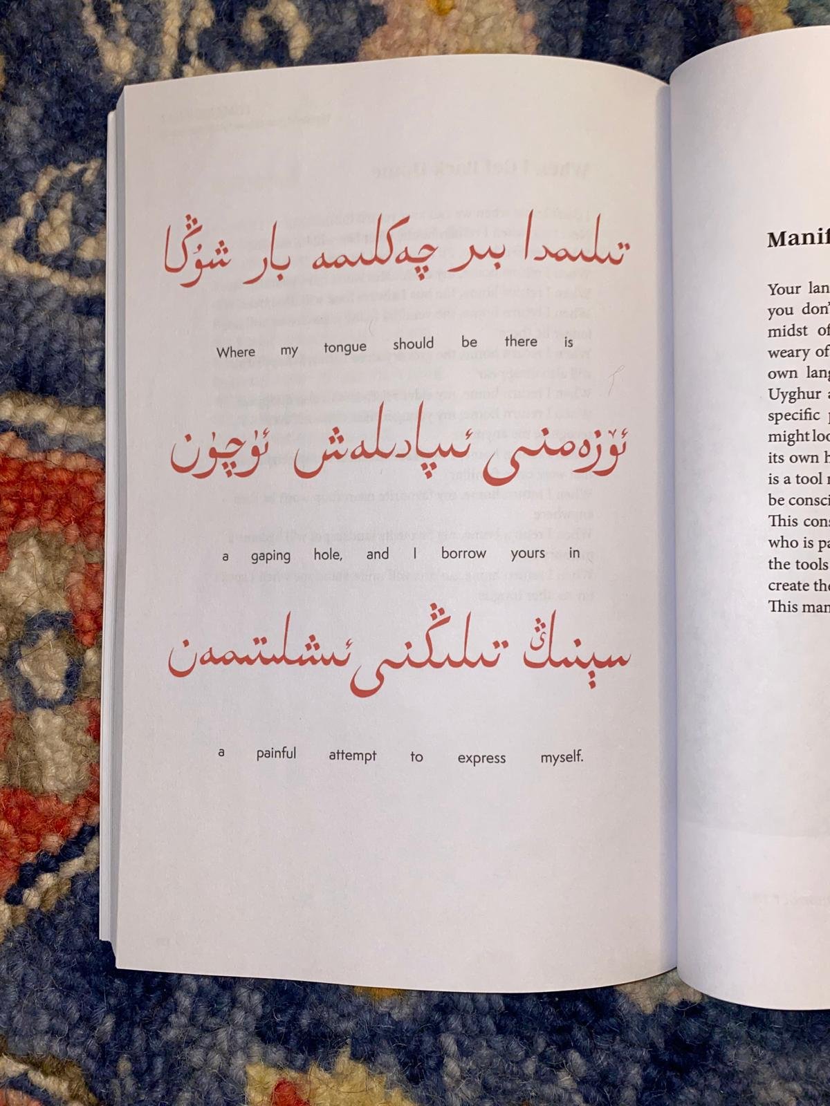 Support the Contemporary Uyghur Anthology campaign photo, 5 of 6