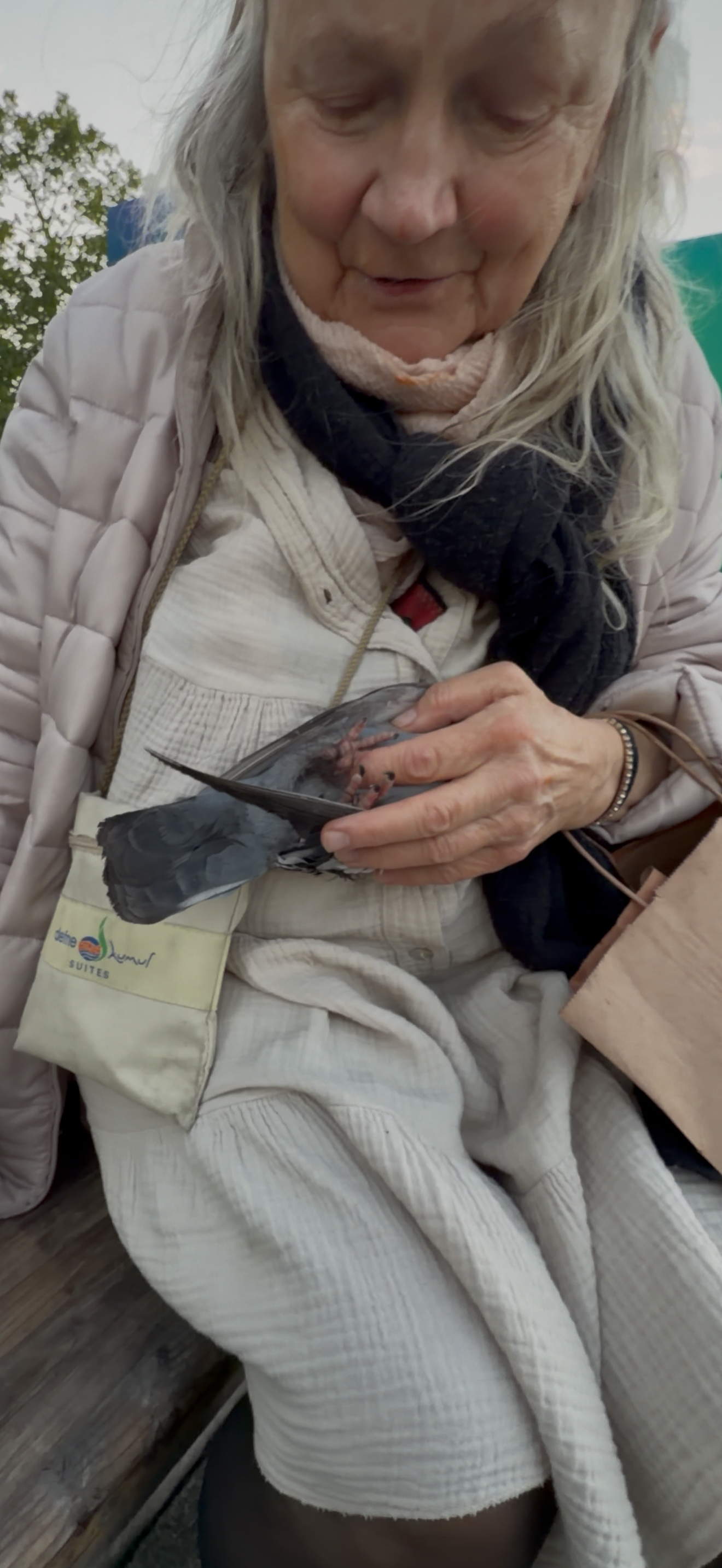 Elisabeth und die Tauben  campaign photo, 1 of 5