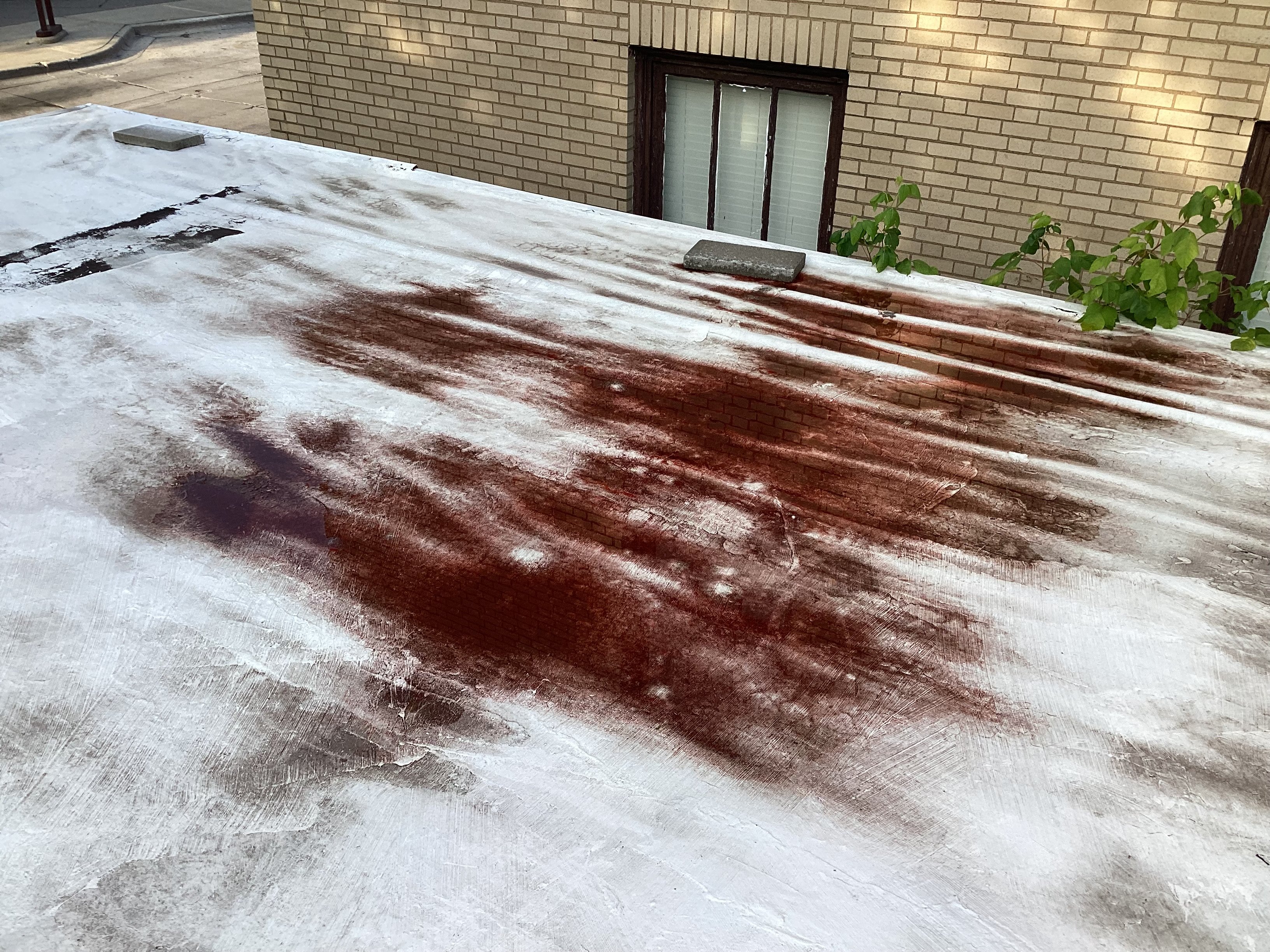 Help Amy Repair Her Workshop Roof campaign photo, 4 of 8