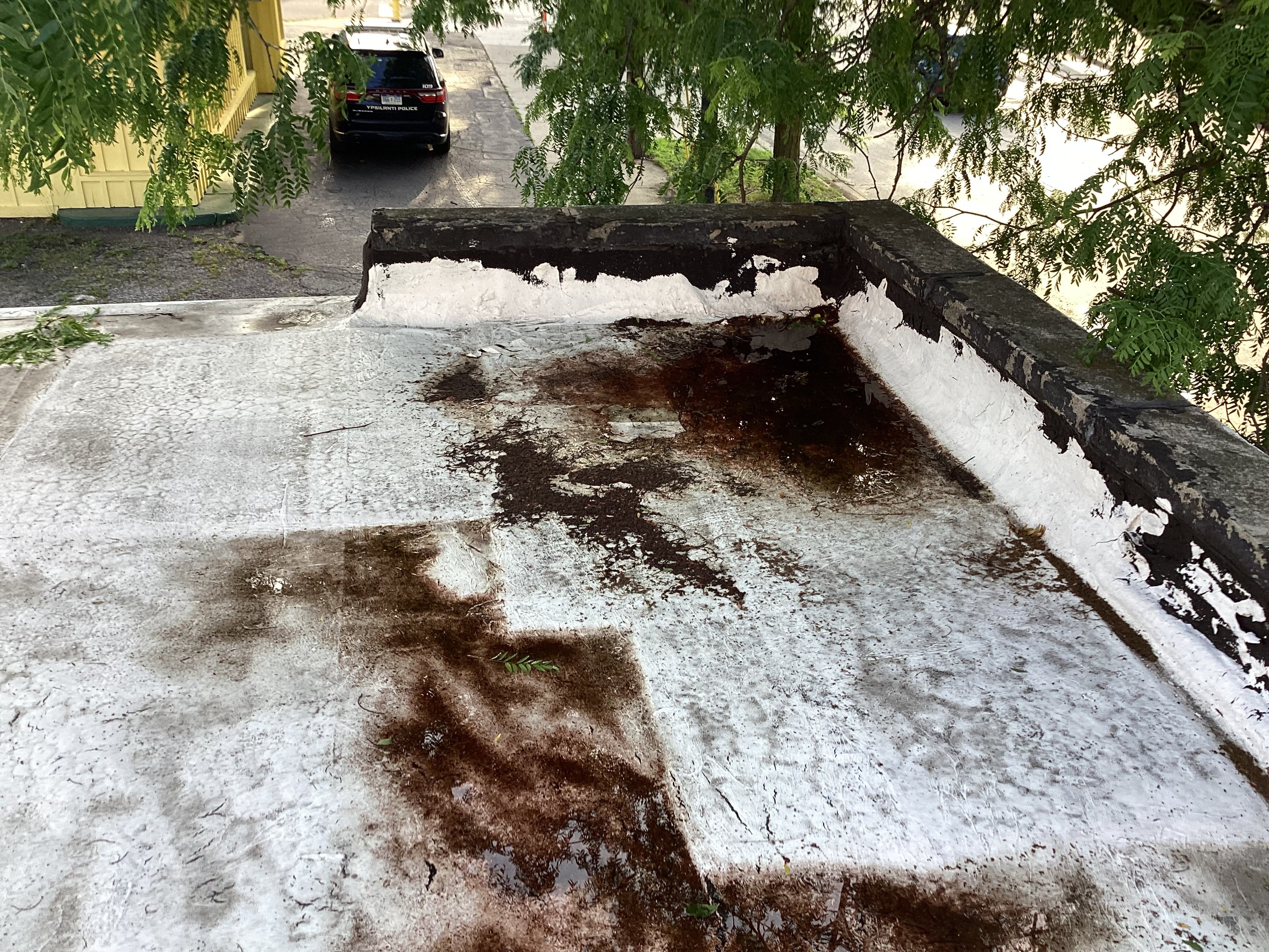 Help Amy Repair Her Workshop Roof campaign photo, 5 of 8