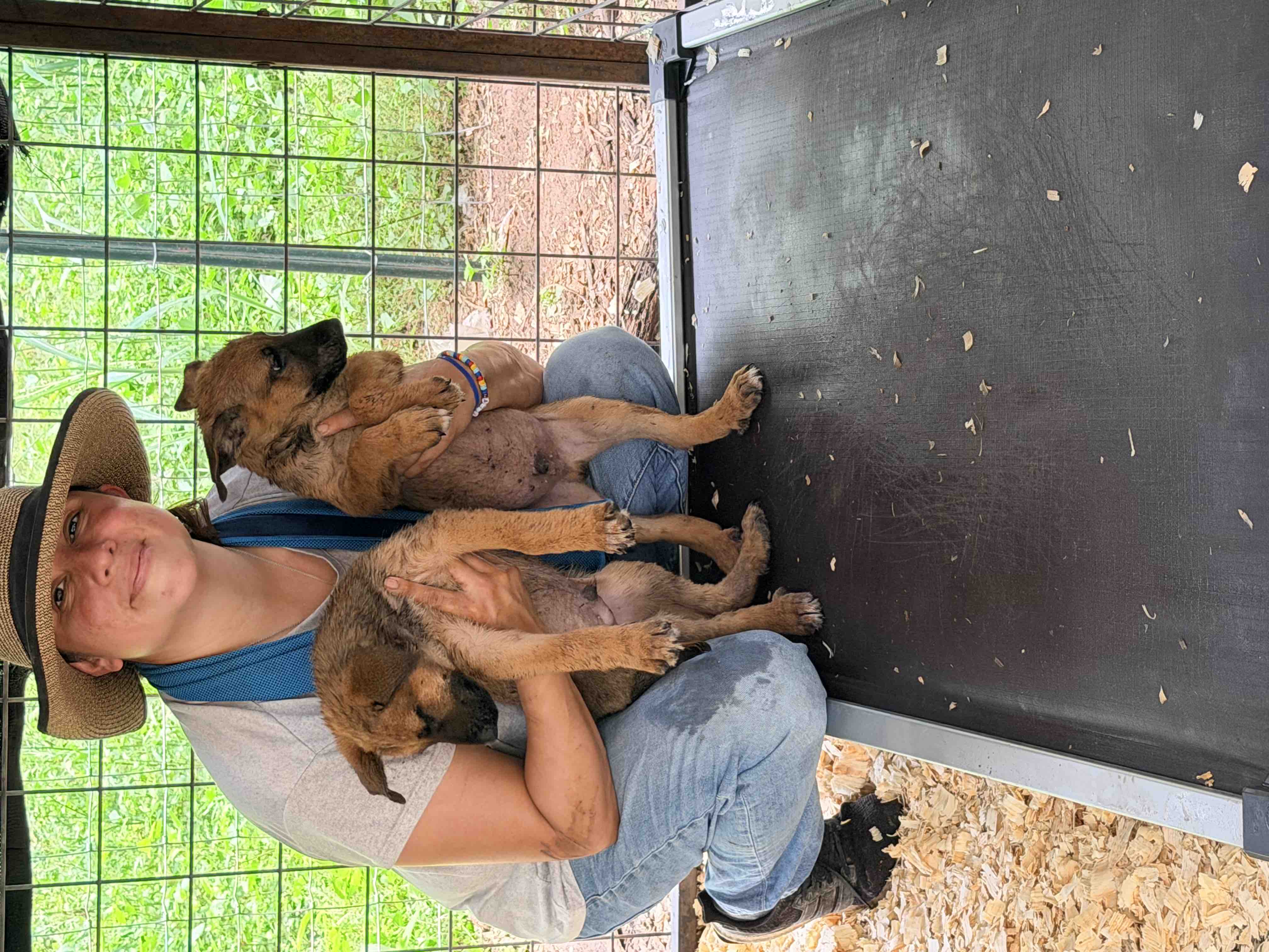 Support Safe Haven Dog Ranch's Mission of Hope campaign photo, 5 of 9