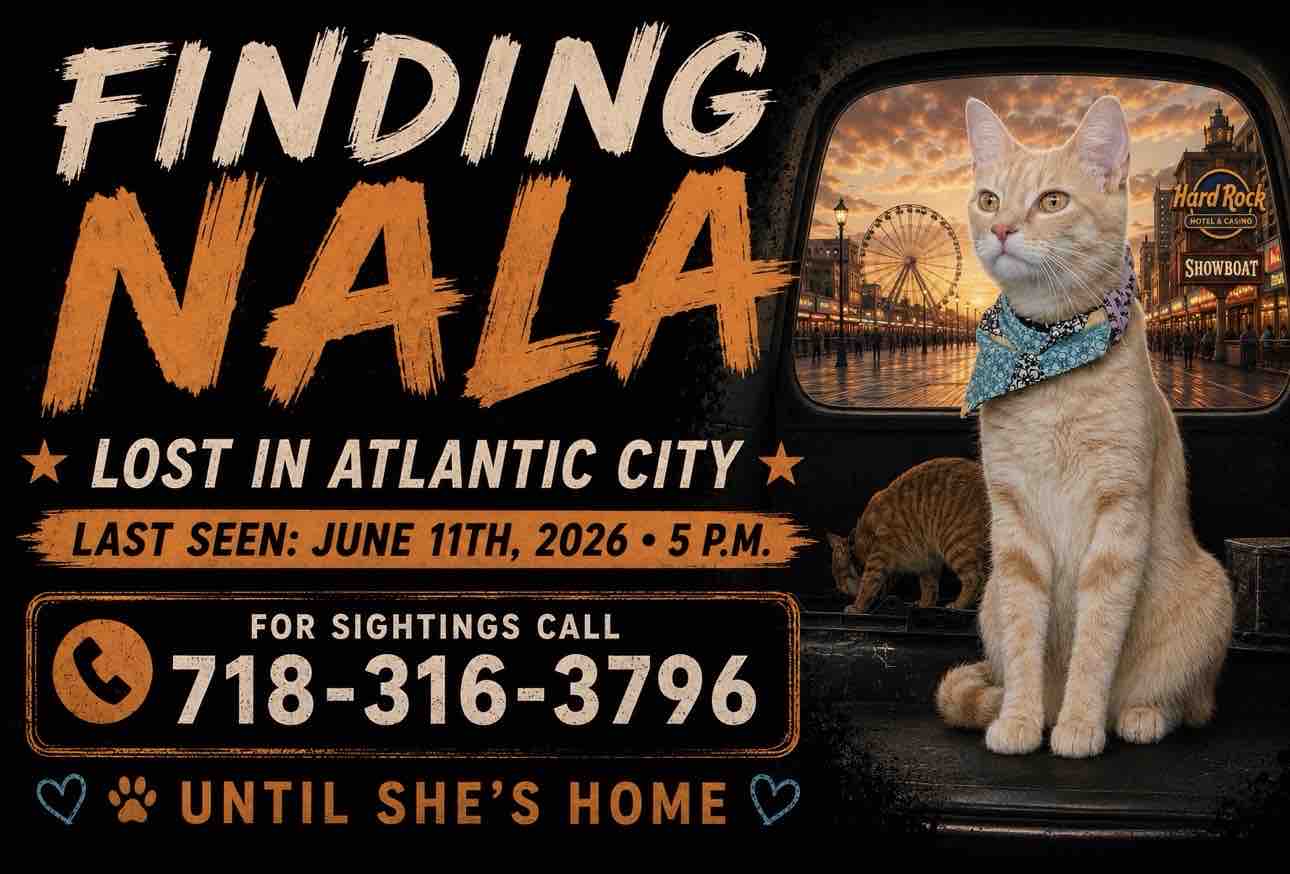 Help Bring Nala Home campaign photo, 7 of 9
