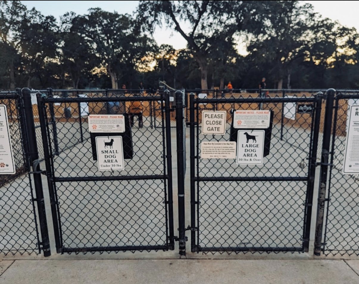 Make a Splash at RRuff Dog Park campaign photo, 7 of 8