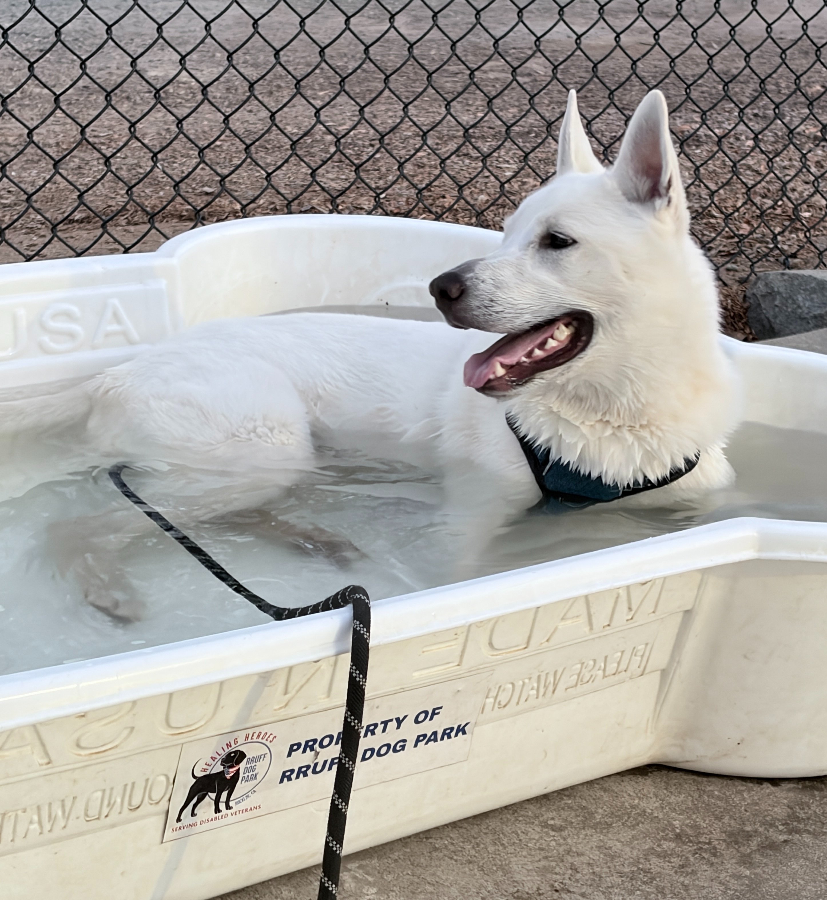 Make a Splash at RRuff Dog Park campaign photo, 4 of 8