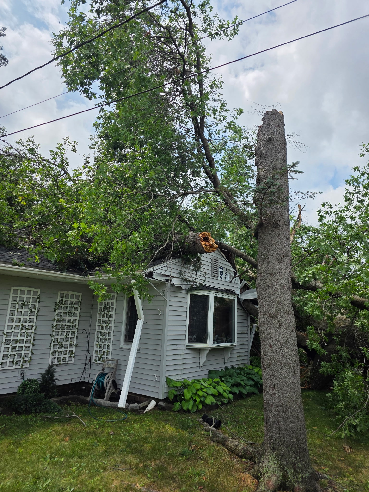 Support Sgt. Wells' Family After Storm Damage campaign photo, 5 of 6