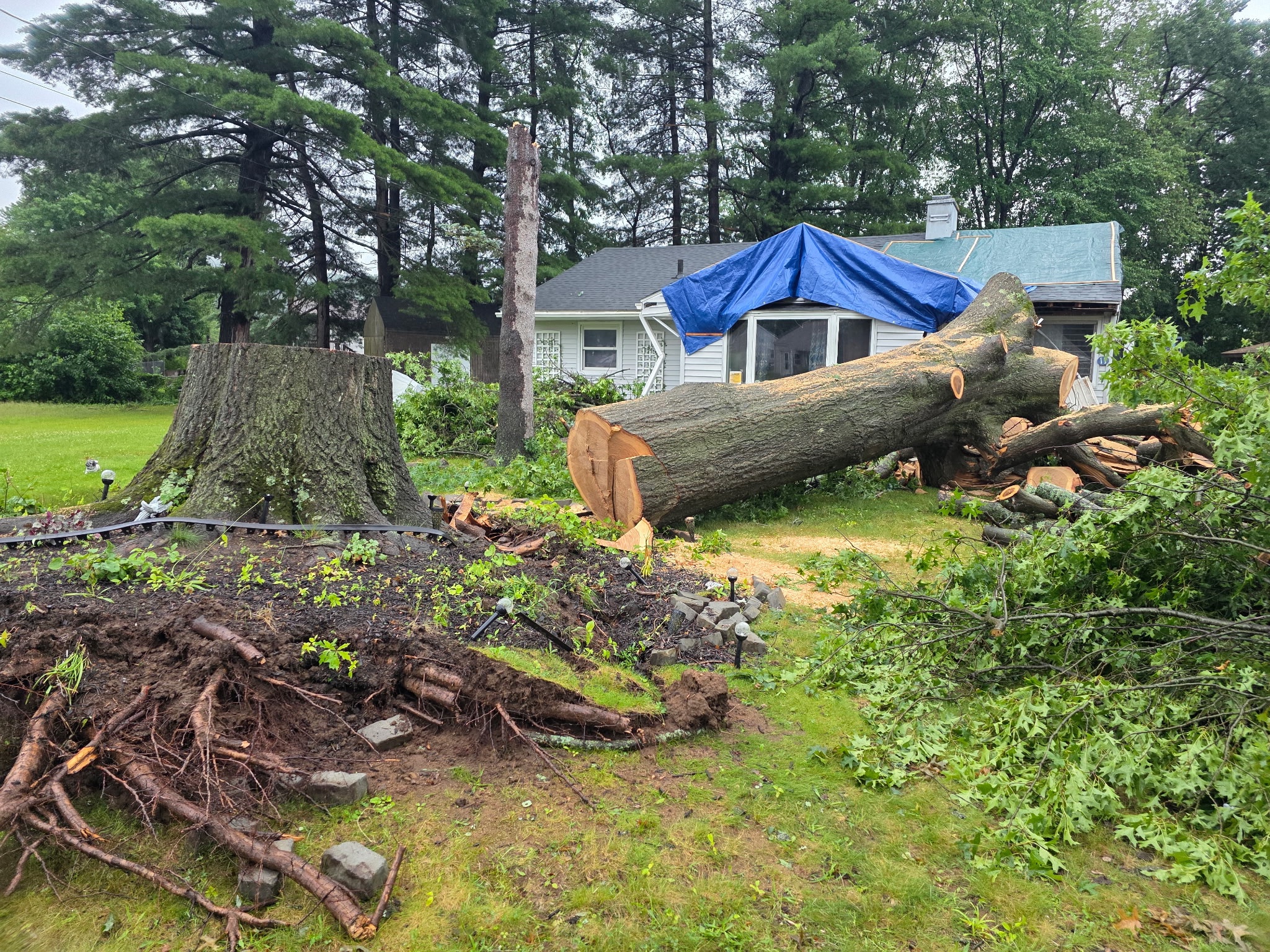 Support Sgt. Wells' Family After Storm Damage campaign photo, 4 of 6