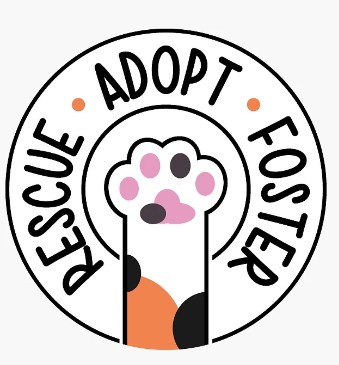 Give Abandoned Cats a FurEver Chance campaign photo, 5 of 6