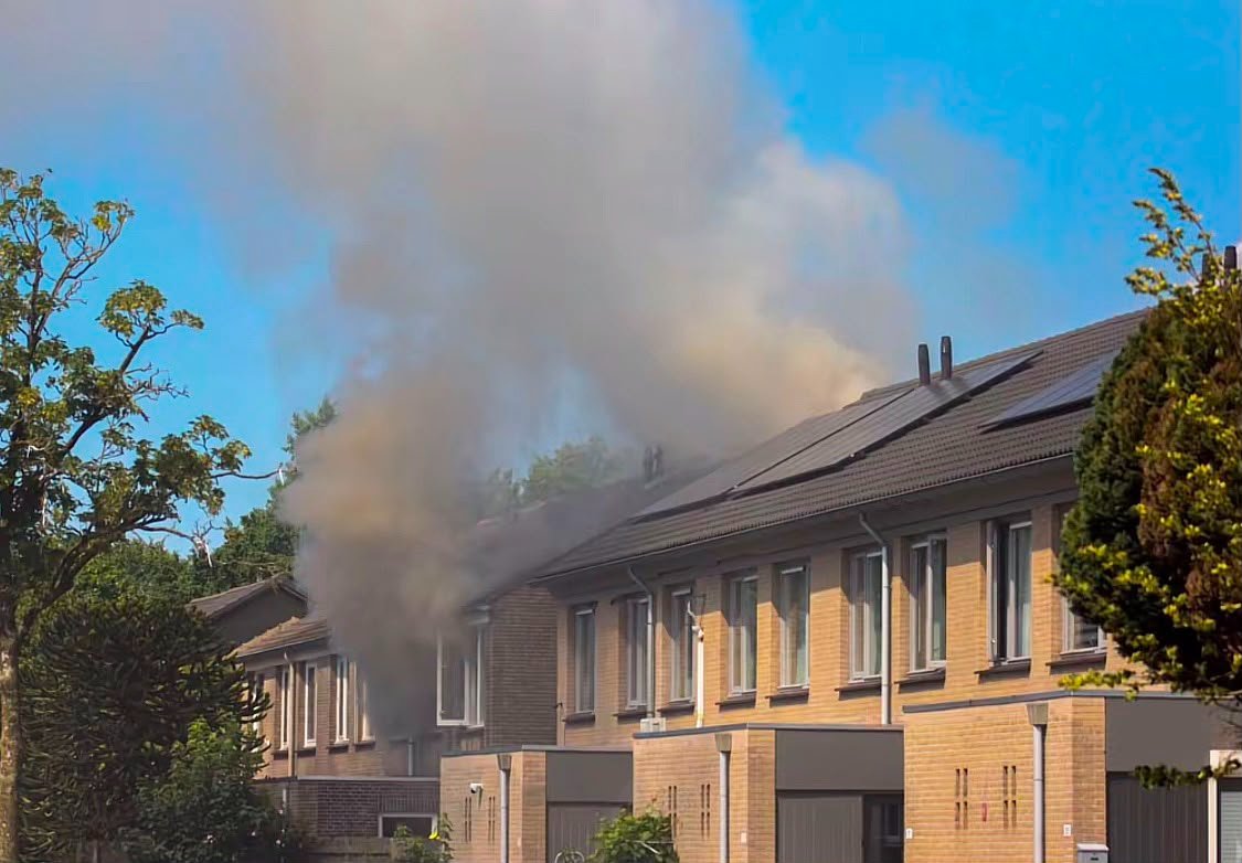 Eerste Hulp na verwoestende brand aan de goudplevier in Oss campaign photo, 4 of 8