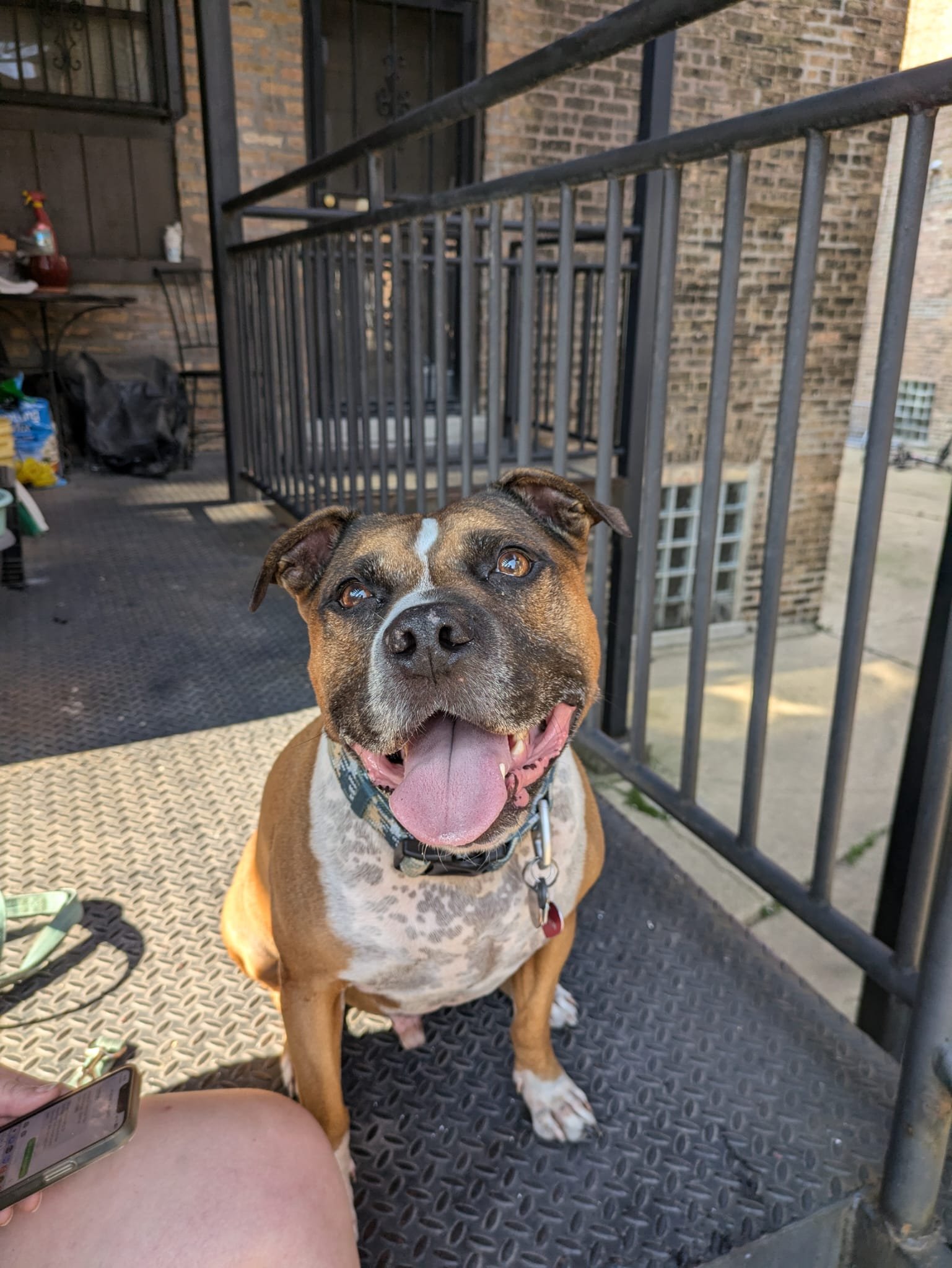 Help Marston Get His Life-Saving Surgery campaign photo, 6 of 7