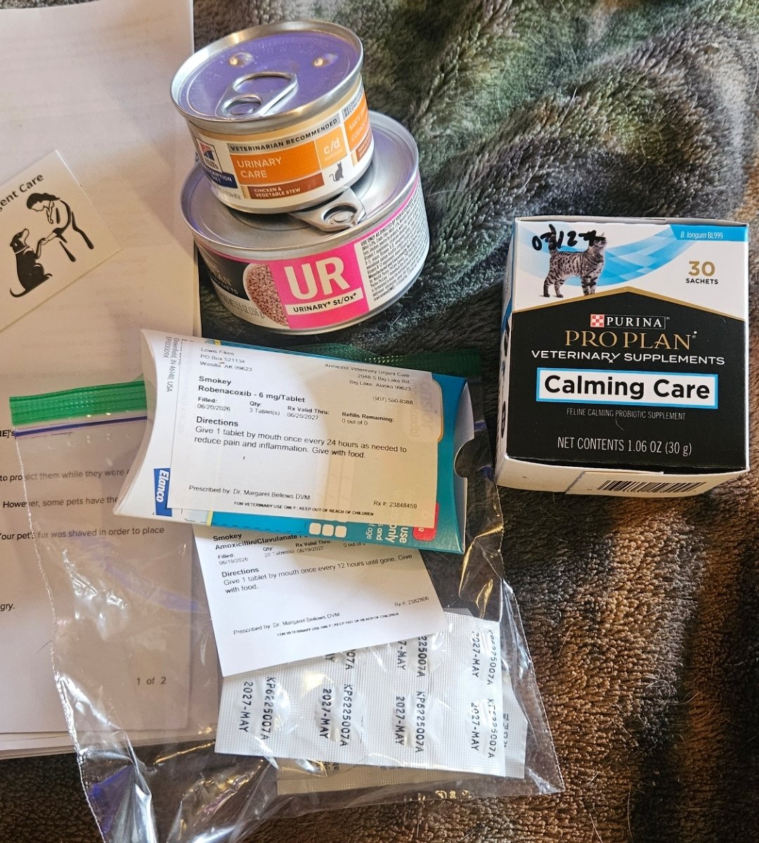 Aid Smokey's Ongoing Medical Care campaign photo, 6 of 7