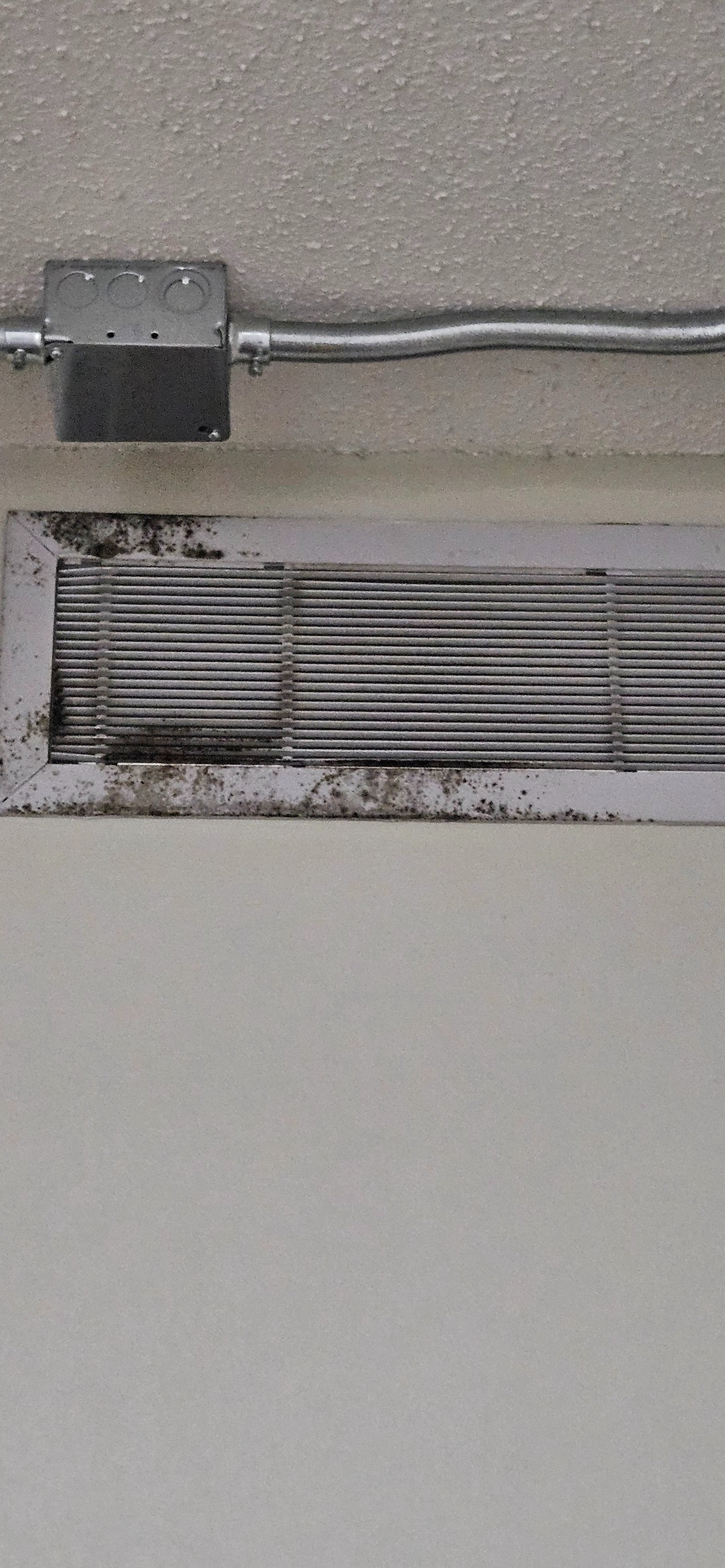 Help me with TEMPORARY HOUSING after pipe burst campaign photo, 2 of 4