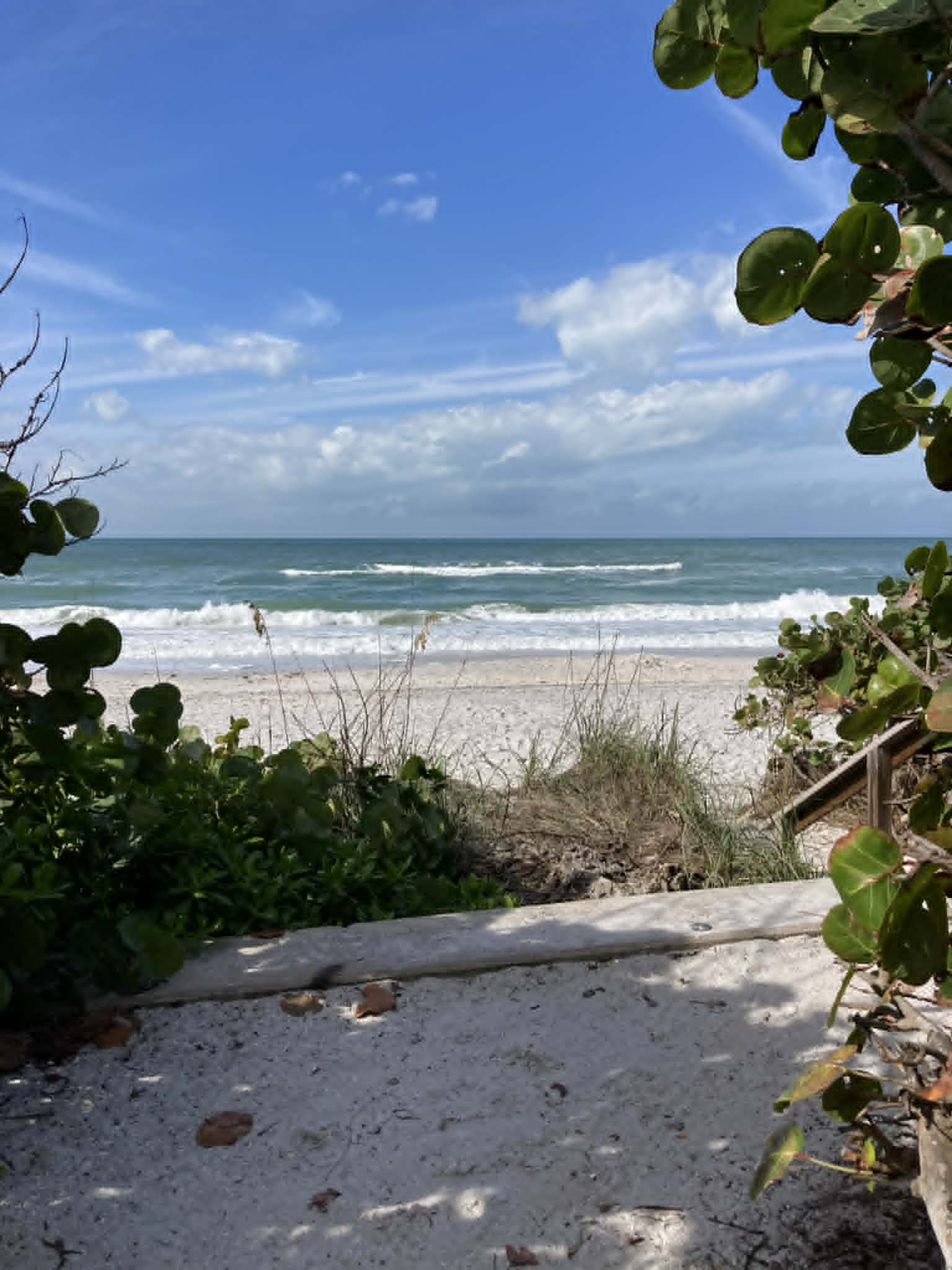 Help Restore Public Parking for Beach Access in Boca Grande campaign photo, 5 of 8