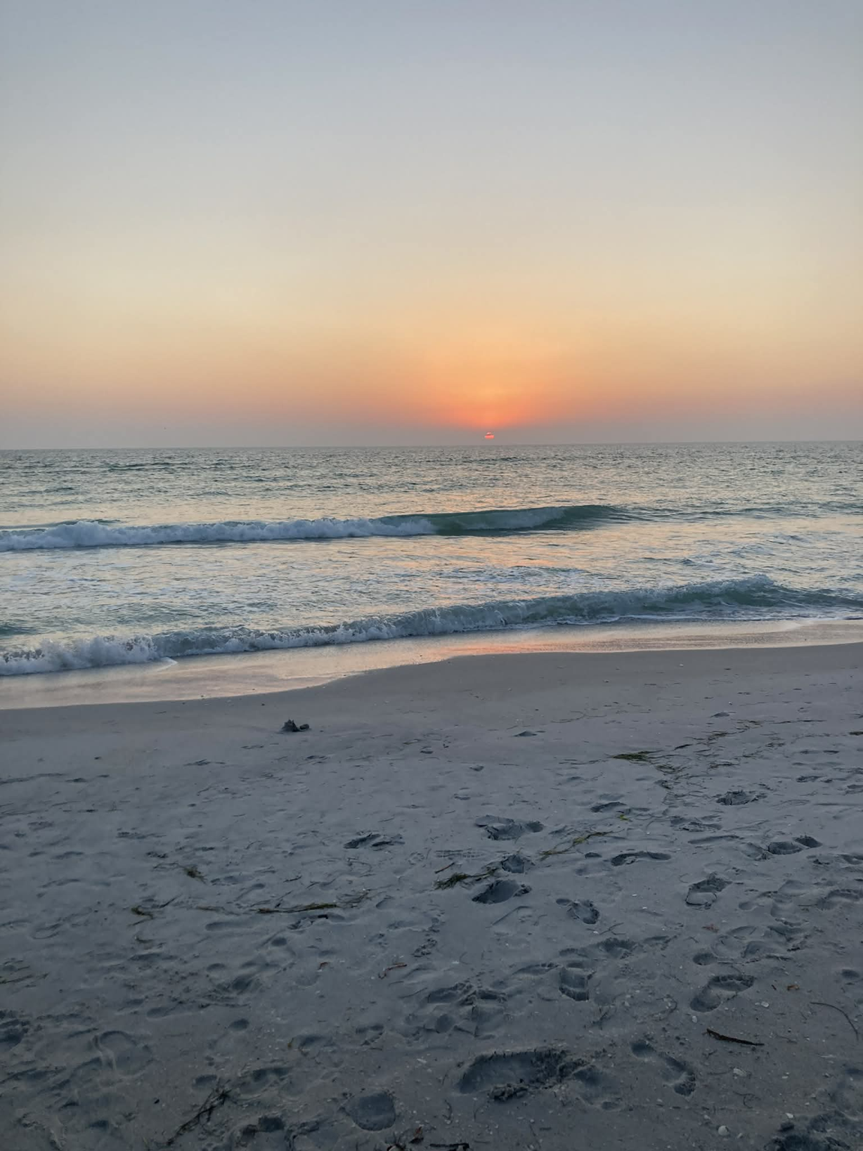 Help Restore Public Parking for Beach Access in Boca Grande campaign photo, 6 of 8