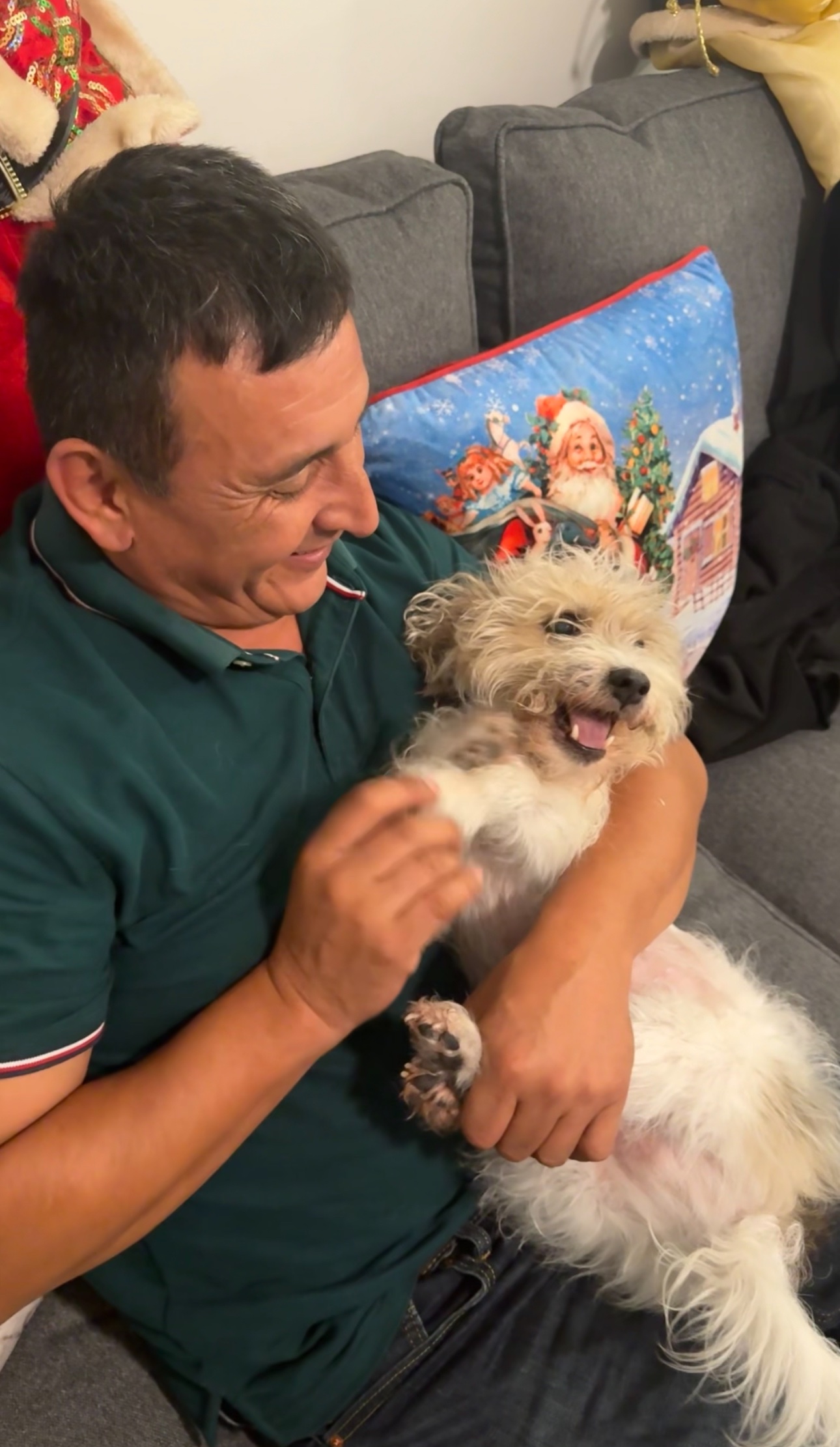 Help for Toby! campaign photo, 5 of 8