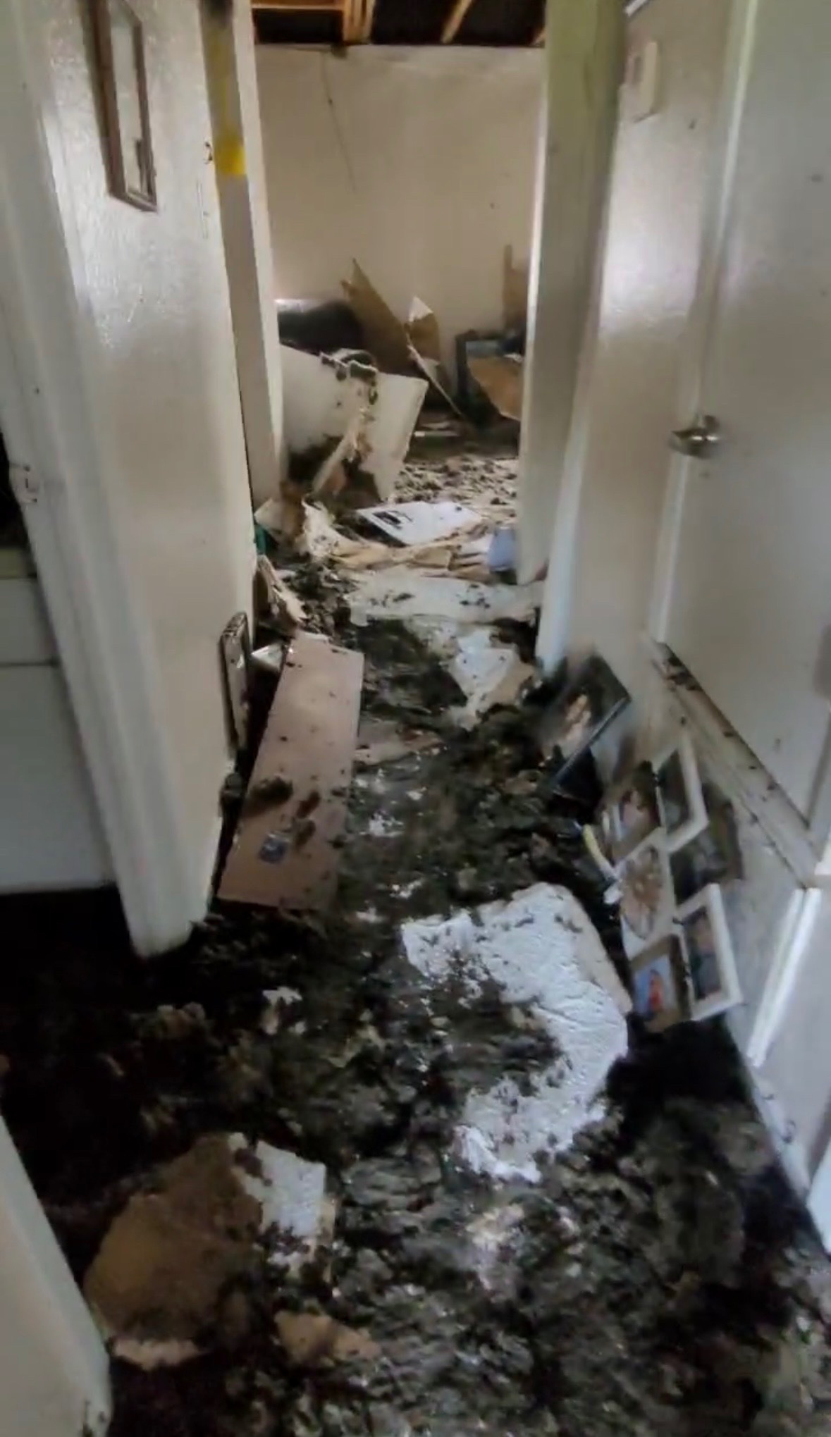 Helping Celi Rebuild After the Fire campaign photo, 6 of 7