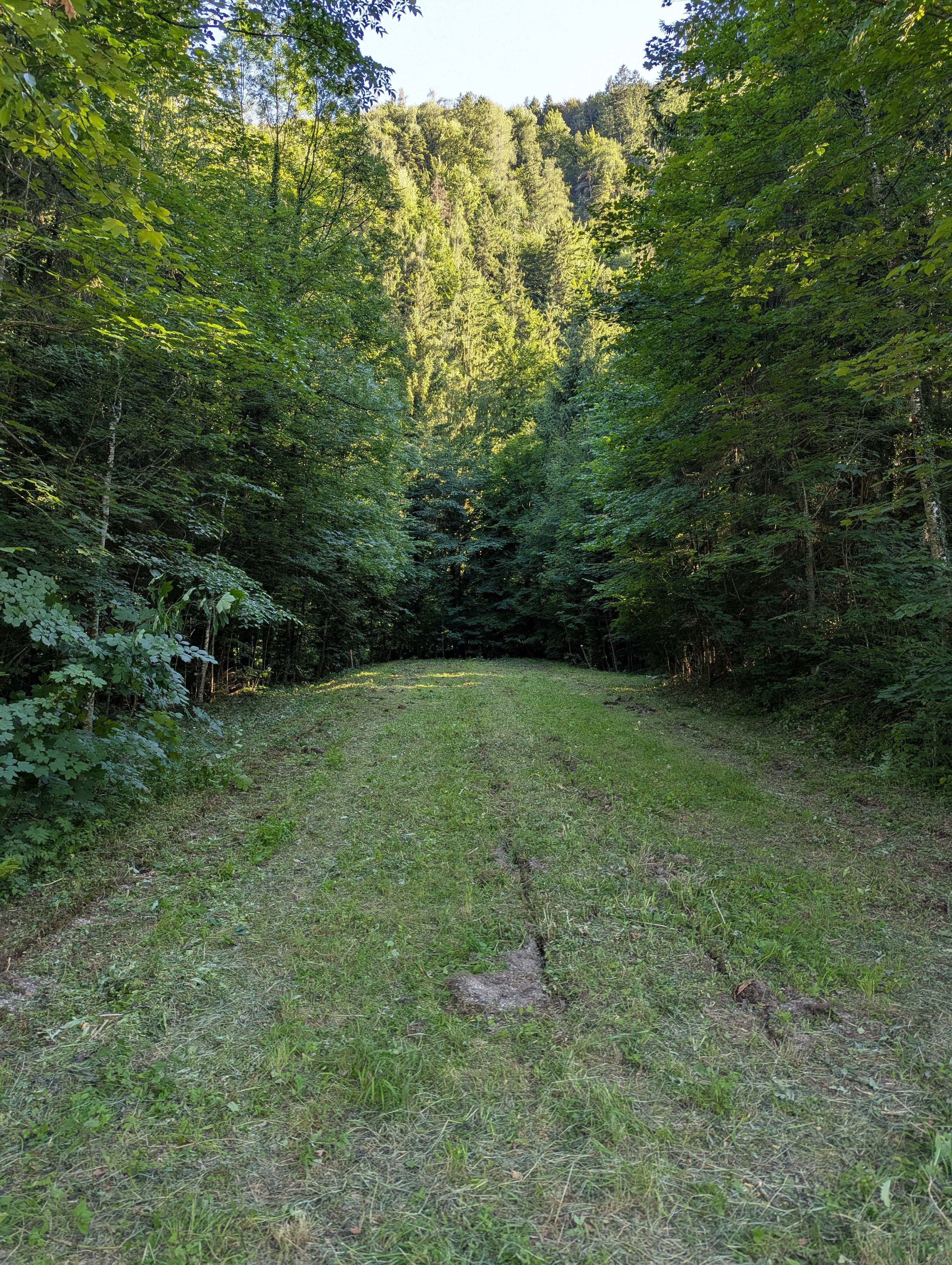 Kampagnen-Foto für MTB Spiel- und Motorikplatz TSV Marquartstein - Abt. MTB , 2 von 4