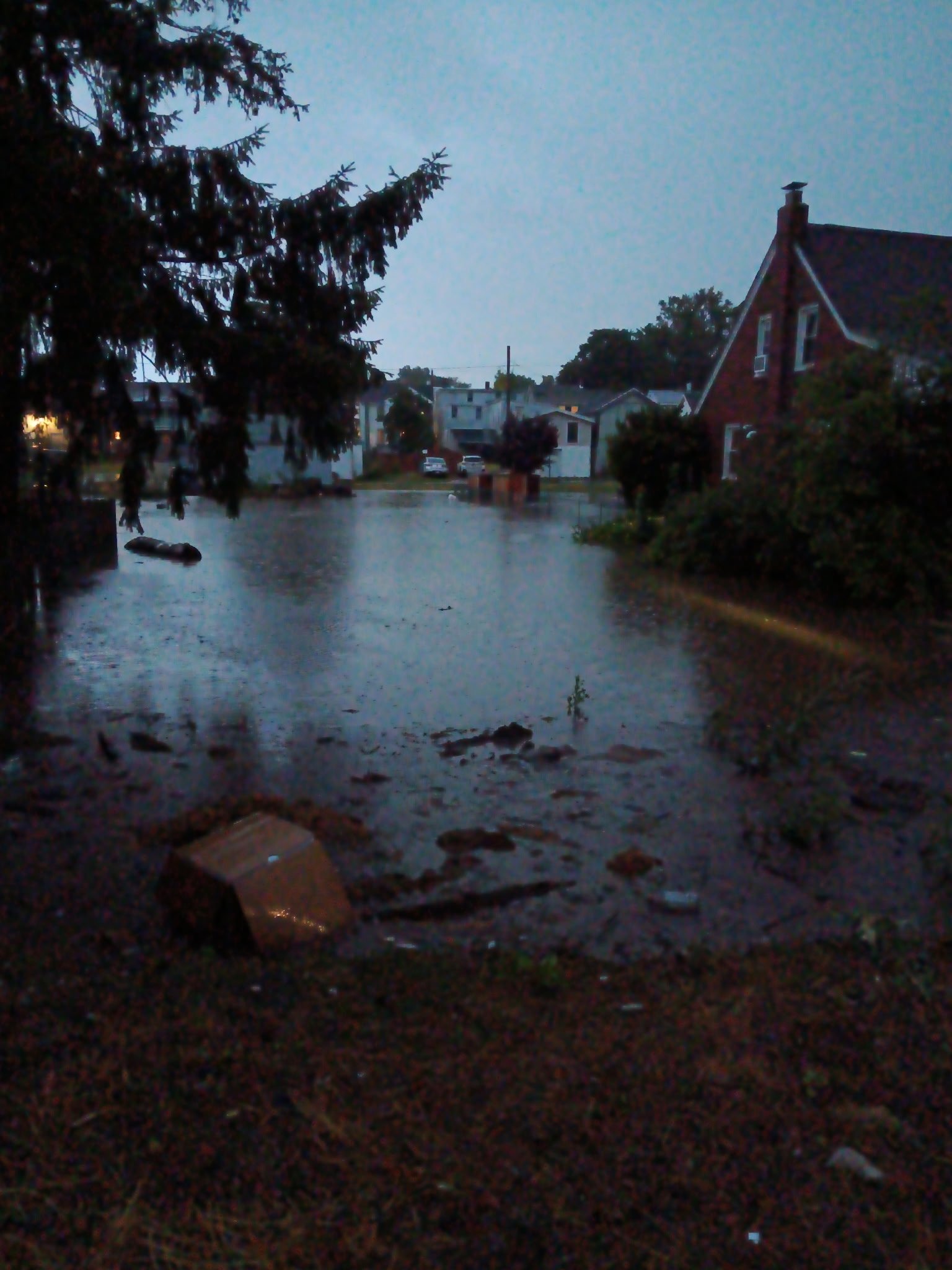 Help Celly & Cat Recover From Flooding & More campaign photo, 2 of 6