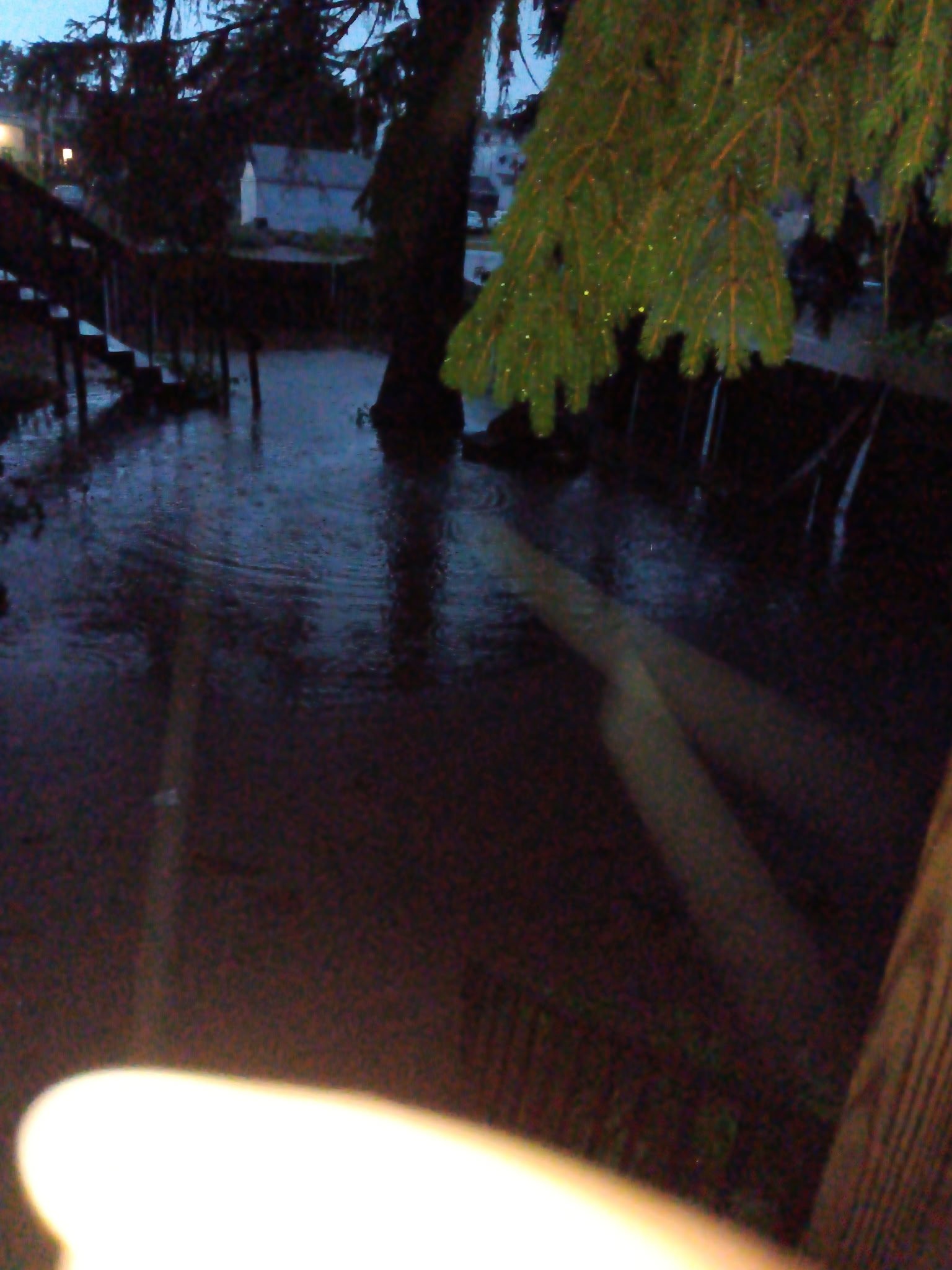 Help Celly & Cat Recover From Flooding & More campaign photo, 4 of 6