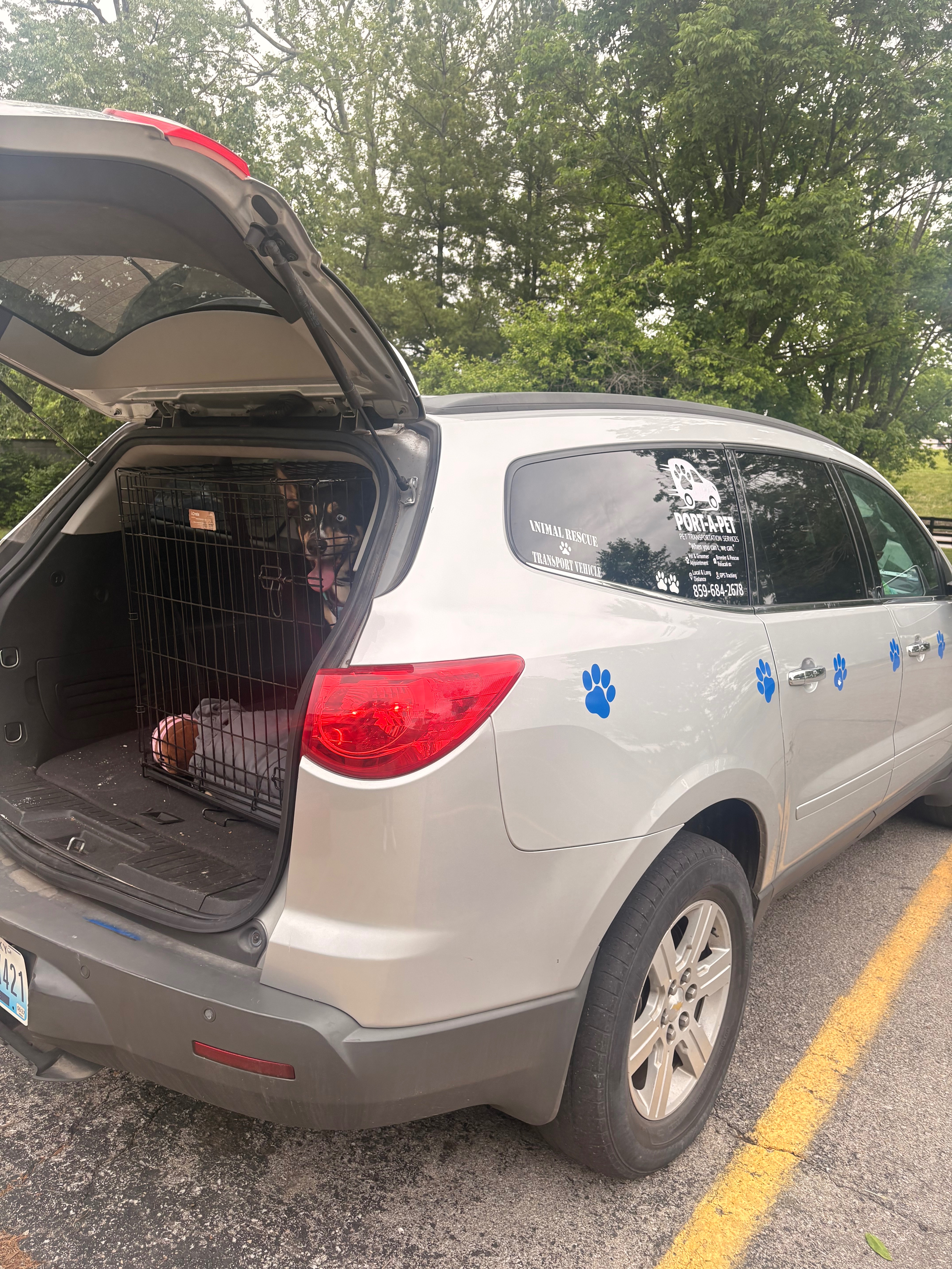 Help Port-A-Pet Recover After Tragic Loss campaign photo, 5 of 8
